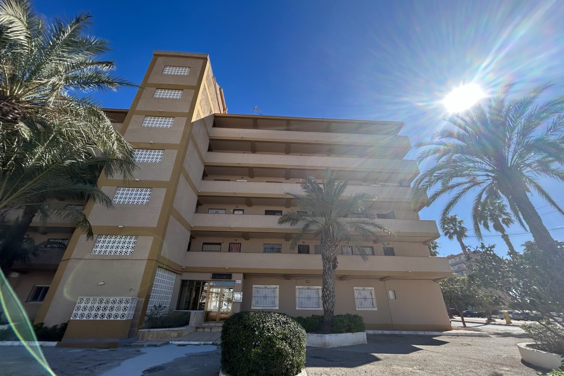 Reventa - Apartment -
Guardamar del Segura - Costa Blanca