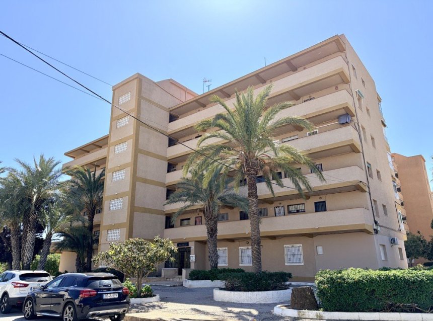 Reventa - Apartment -
Guardamar del Segura - Costa Blanca