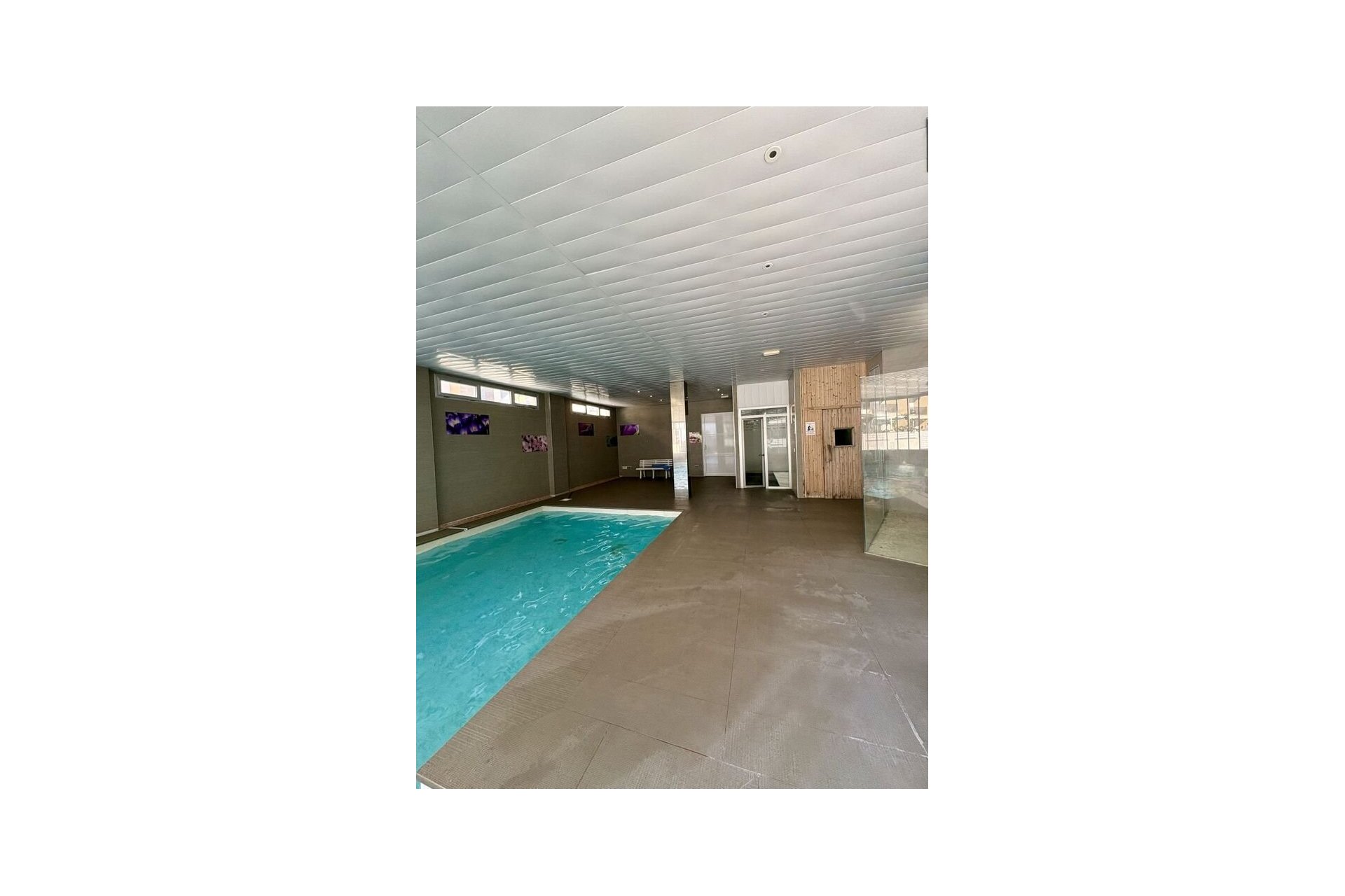 Reventa - Apartment -
Guardamar del Segura - Costa Blanca