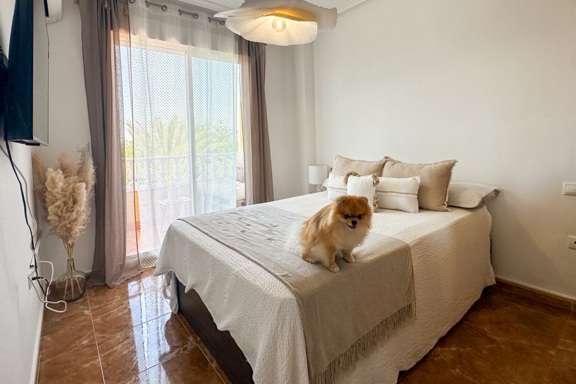 Reventa - Apartment -
Guardamar del Segura - Costa Blanca