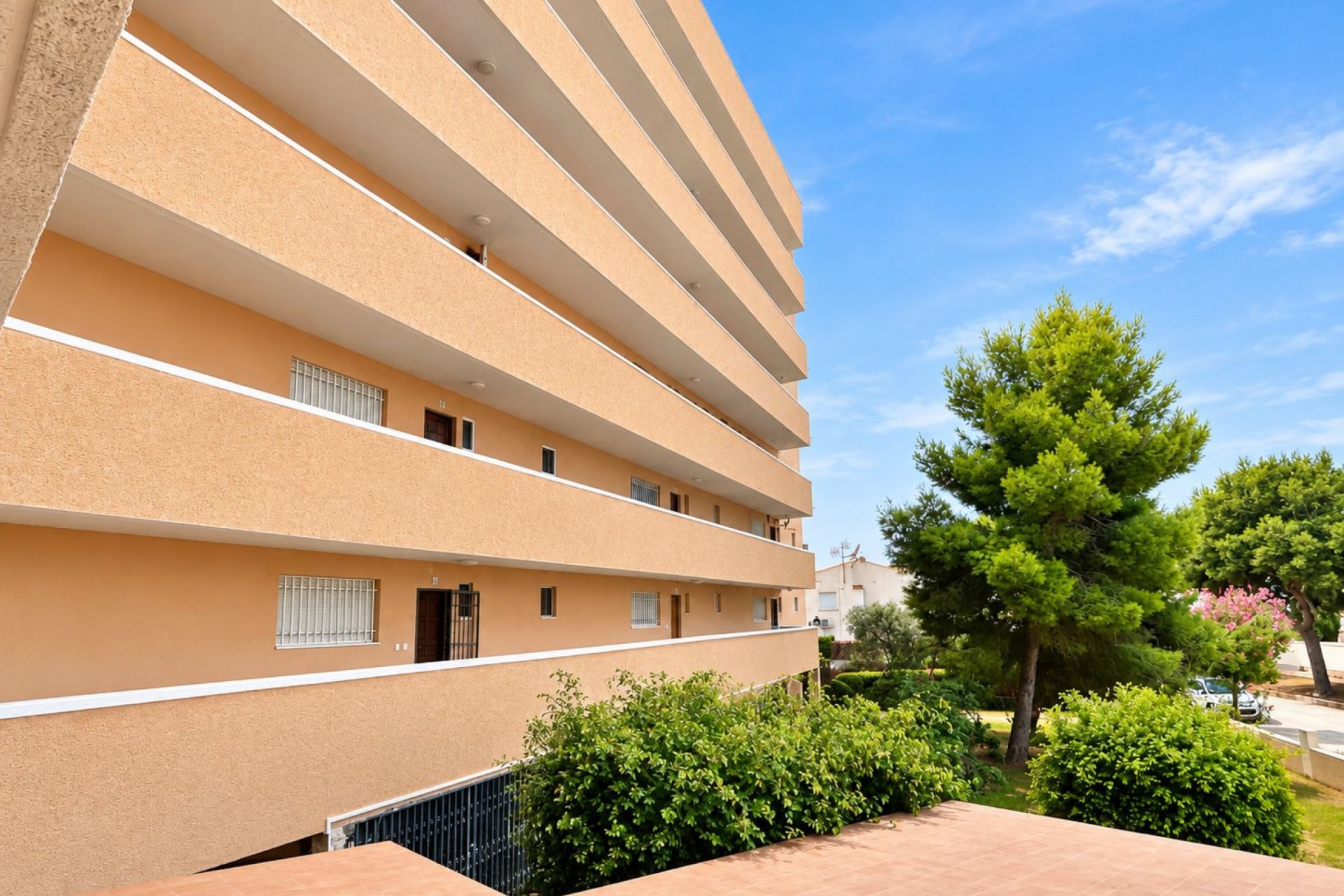 Reventa - Apartment -
La Zenia - Costa Blanca