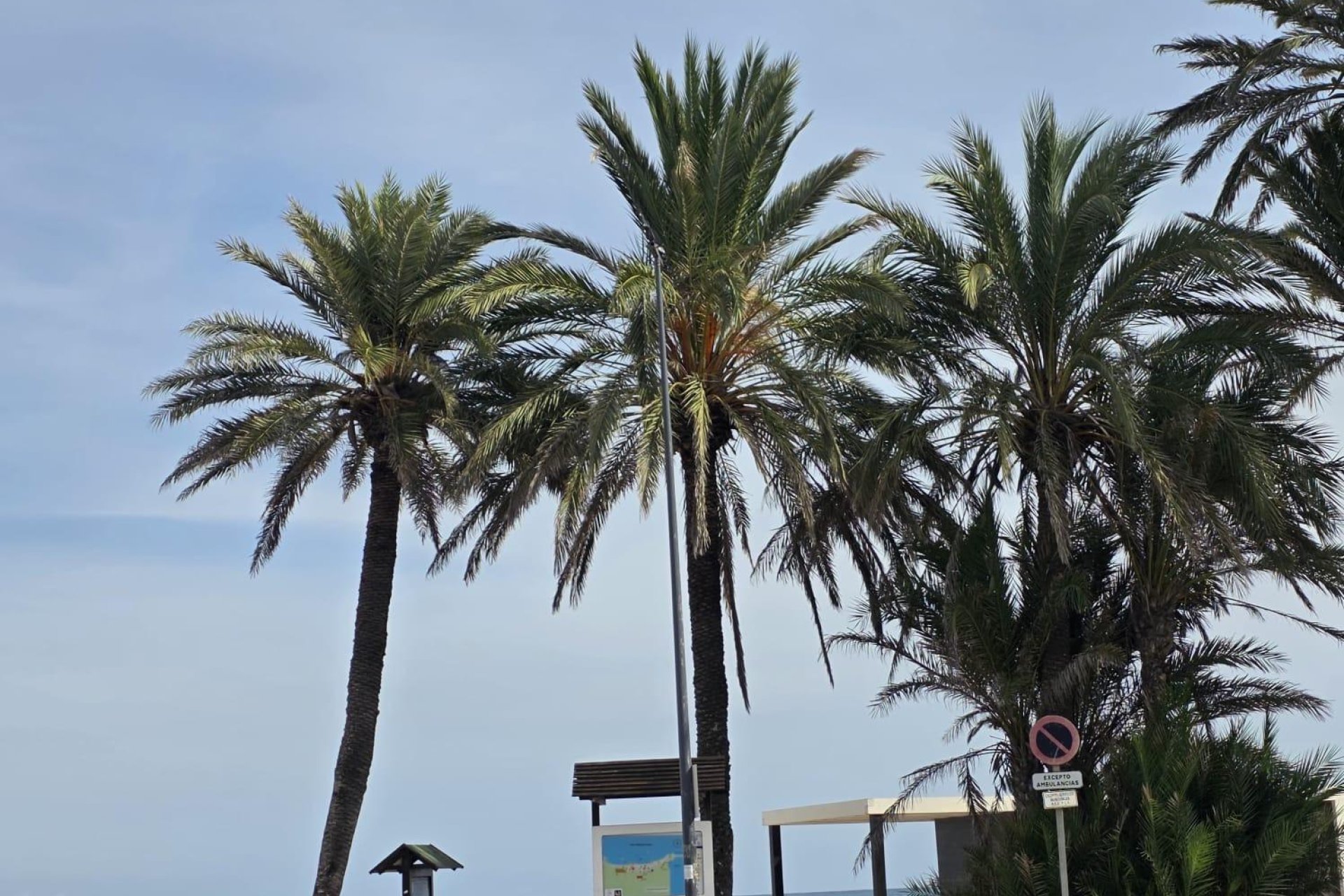 Reventa - Apartment -
Orihuela Costa - Altos De Campoamor