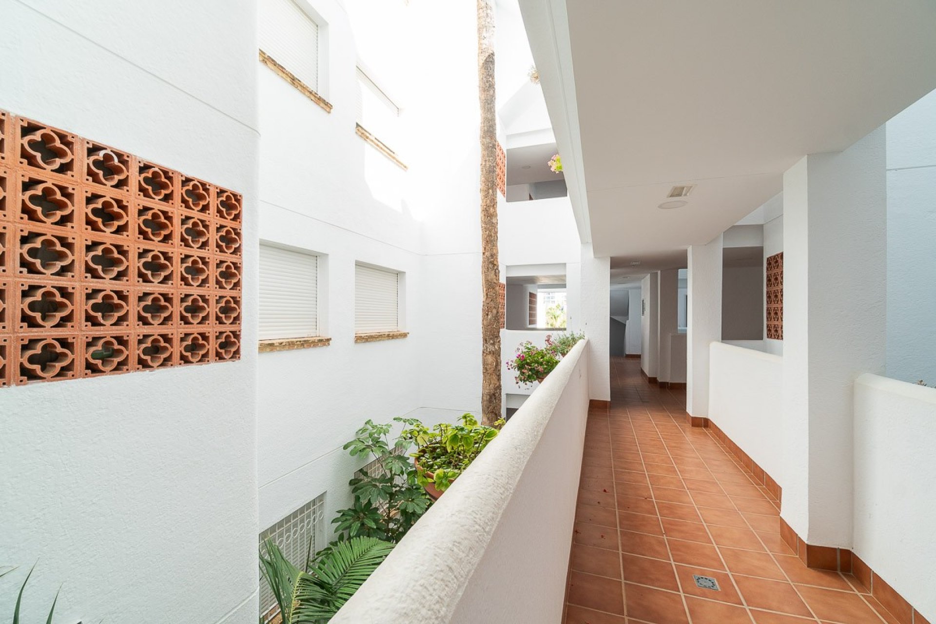 Reventa - Apartment -
Orihuela Costa - Costa Blanca