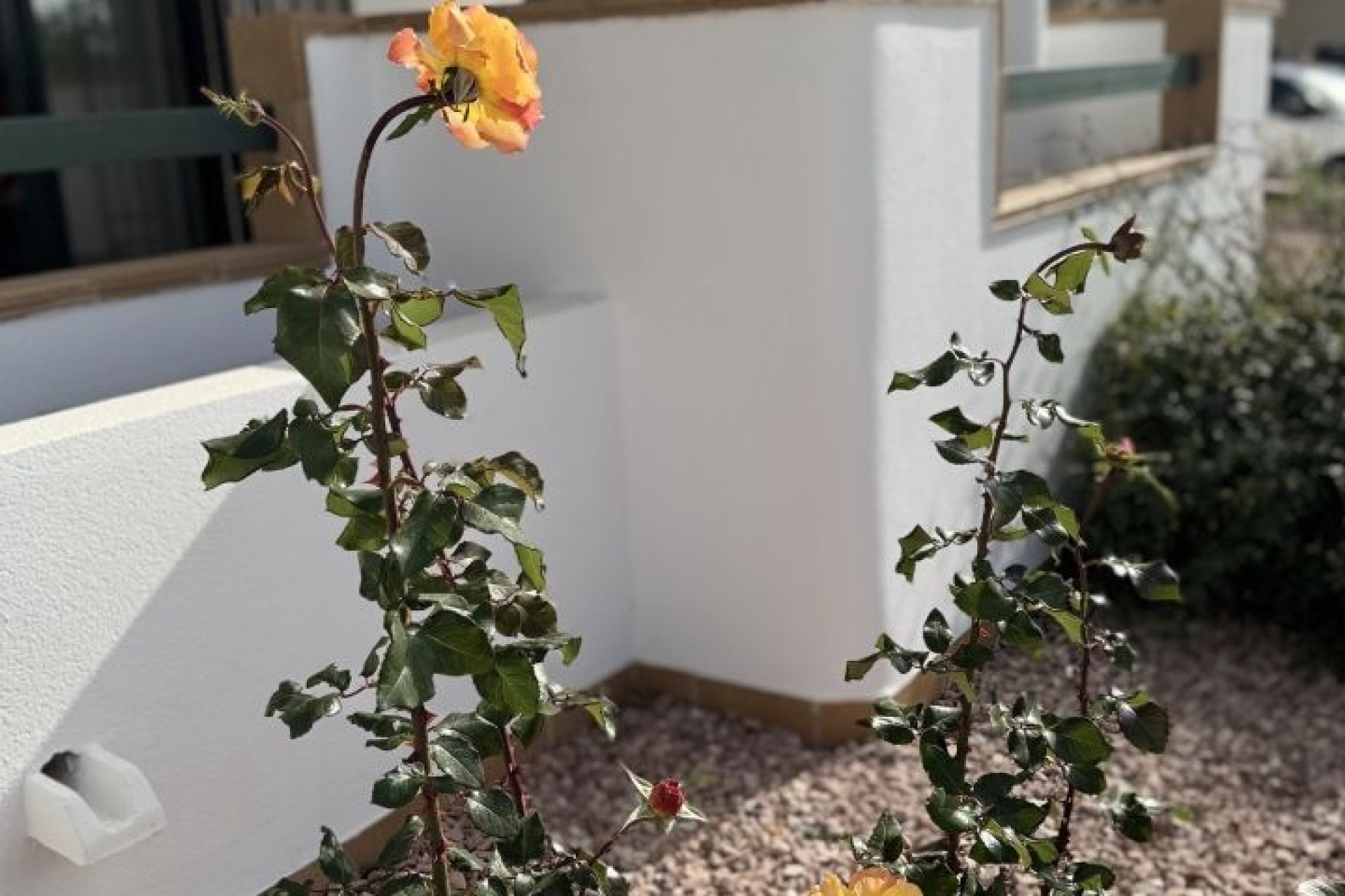 Reventa - Apartment -
Orihuela Costa - Costa Blanca