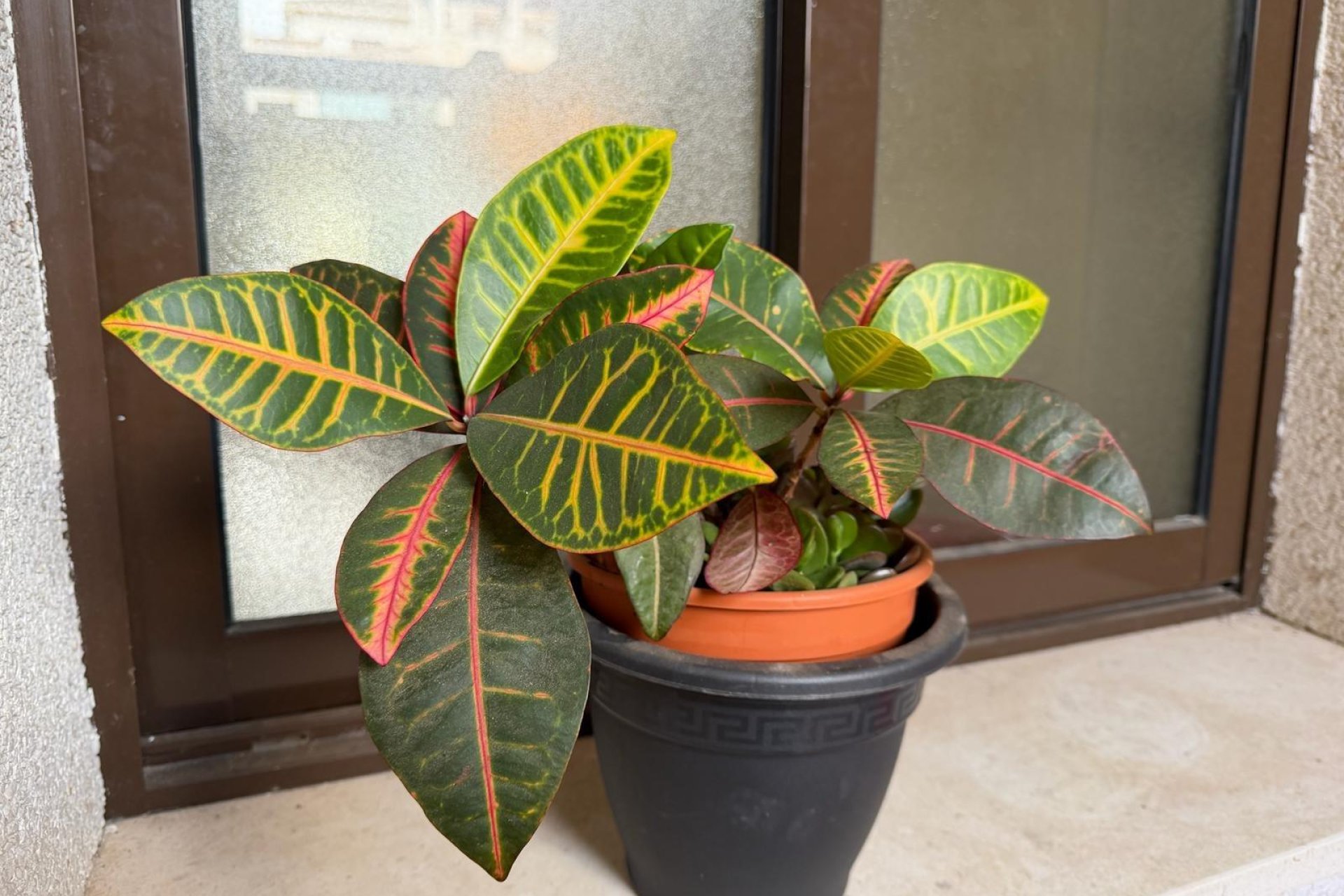 Reventa - Apartment -
Orihuela Costa - Las Ramblas