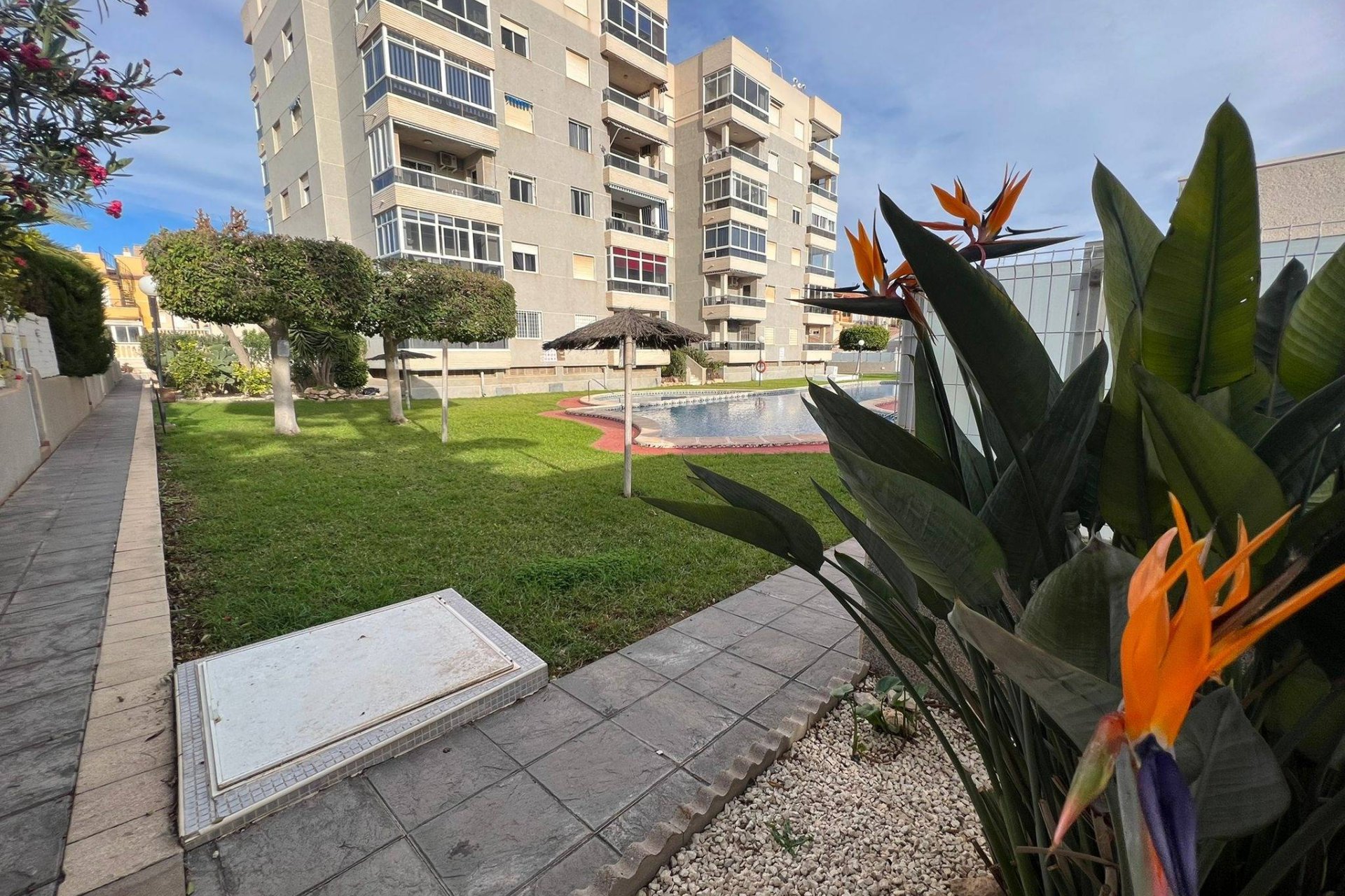 Reventa - Apartment -
Torrevieja - Aguas Nuevas
