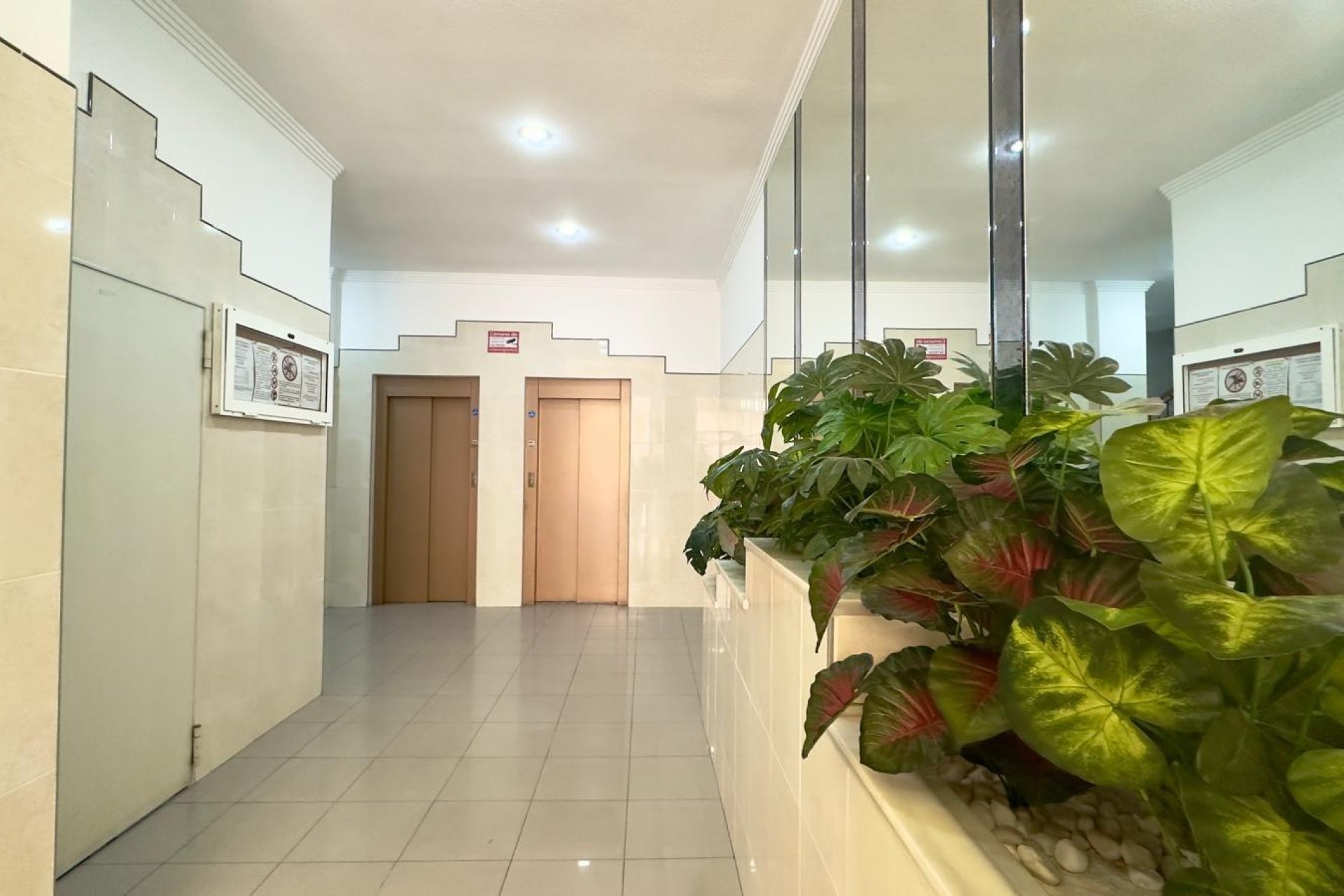 Reventa - Apartment -
Torrevieja - Centro