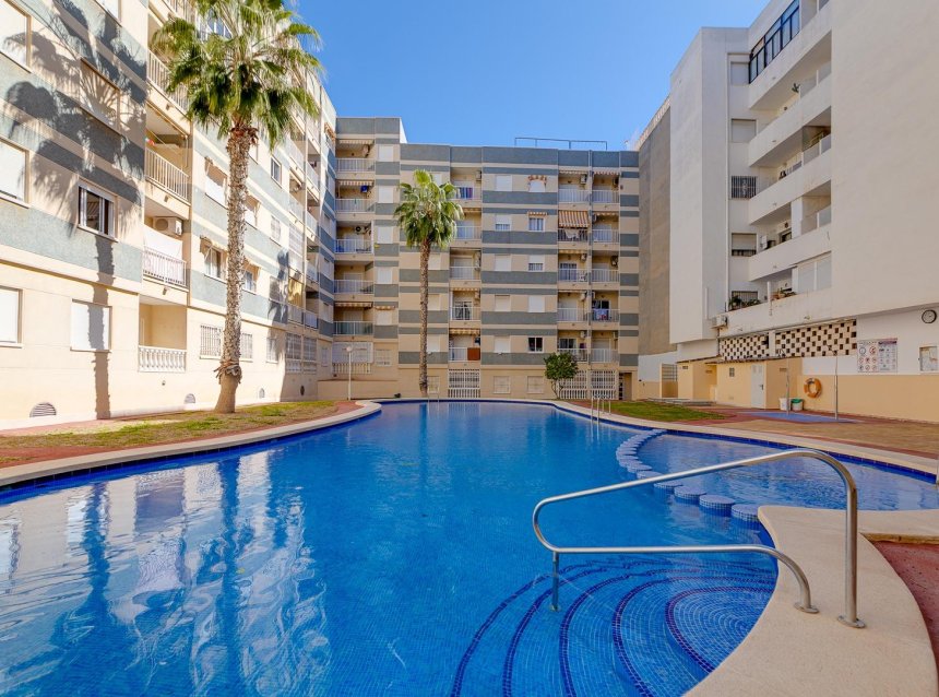 Reventa - Apartment -
Torrevieja - Centro