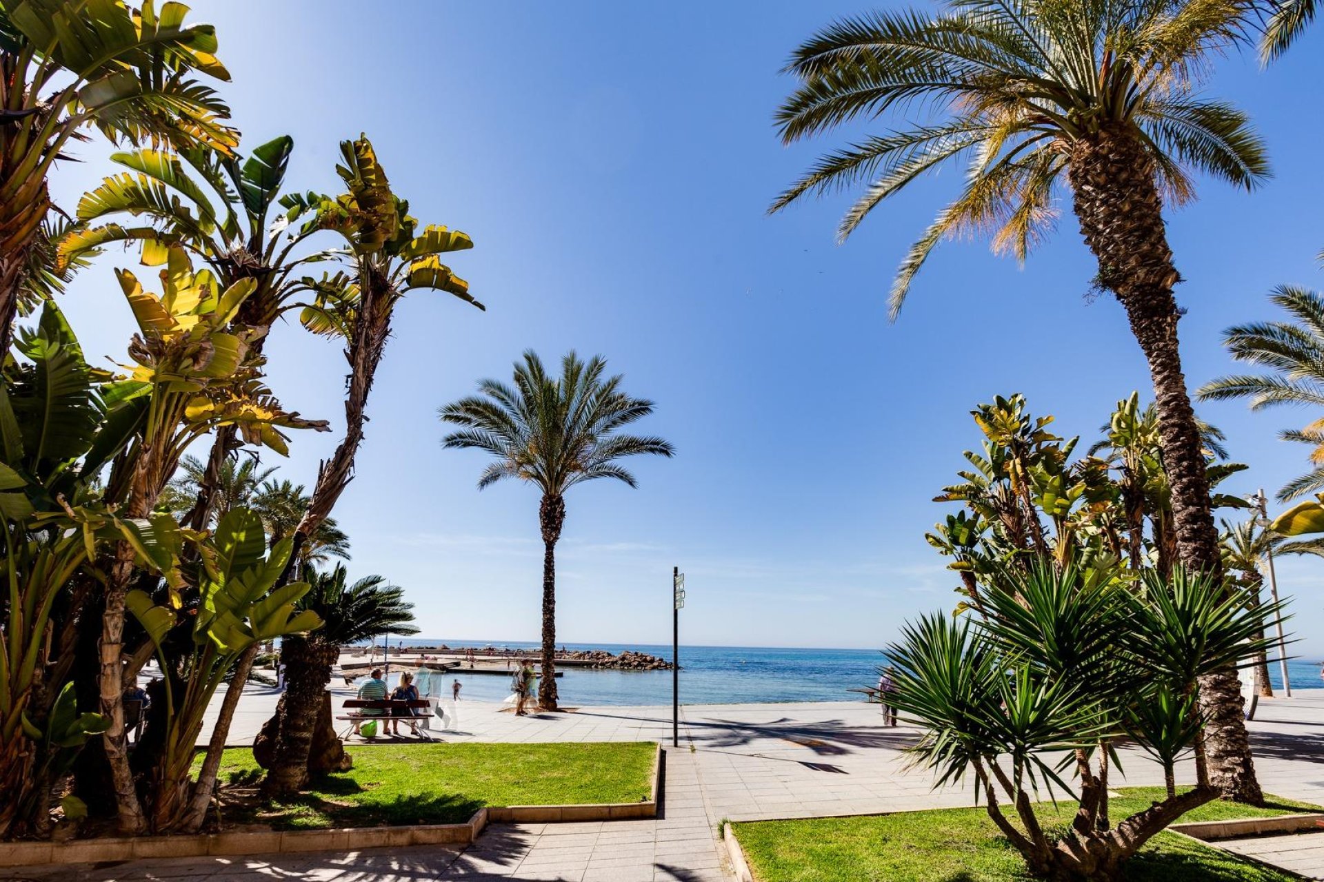 Reventa - Apartment -
Torrevieja - Centro