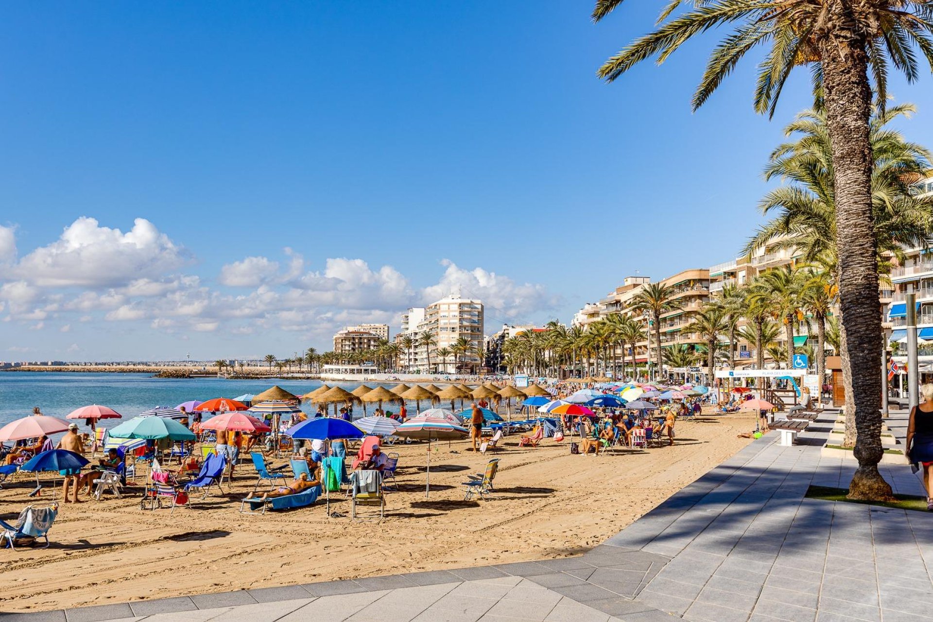 Reventa - Apartment -
Torrevieja - Centro