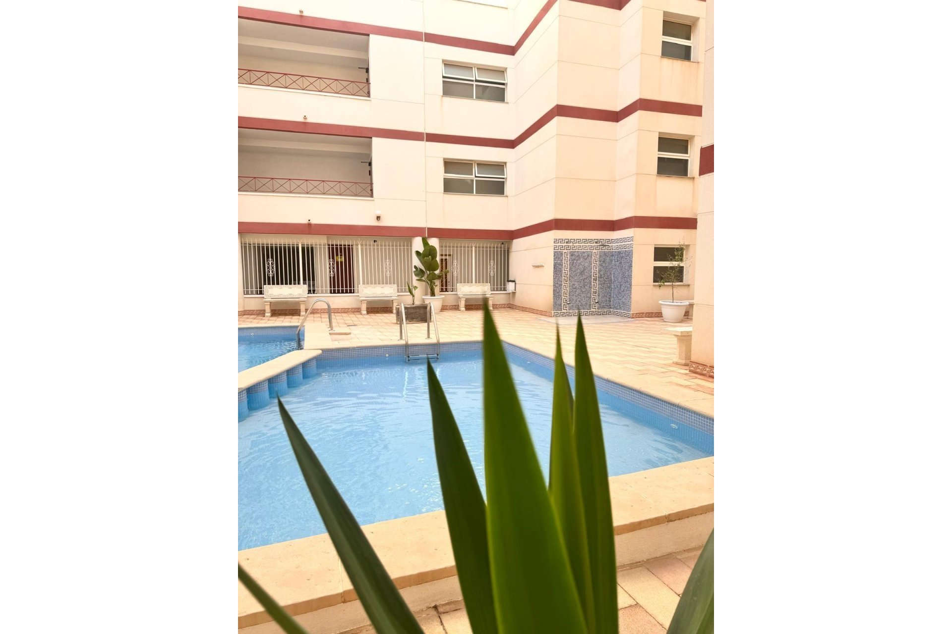 Reventa - Apartment -
Torrevieja - Centro