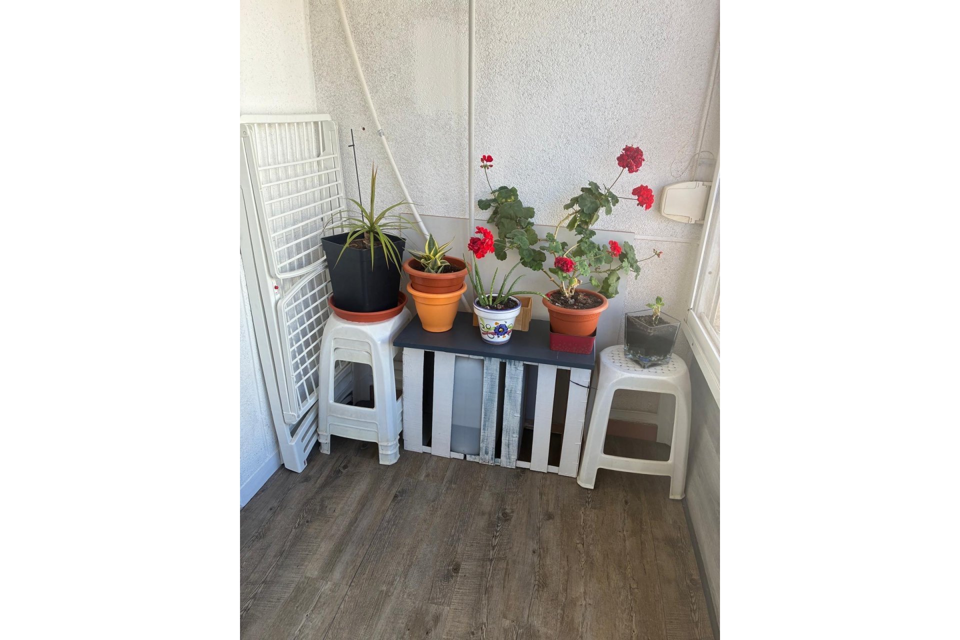 Reventa - Apartment -
Torrevieja - Centro