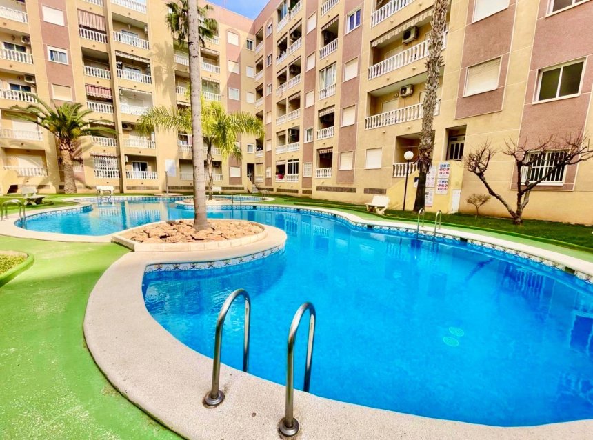 Reventa - Apartment -
Torrevieja - Centro
