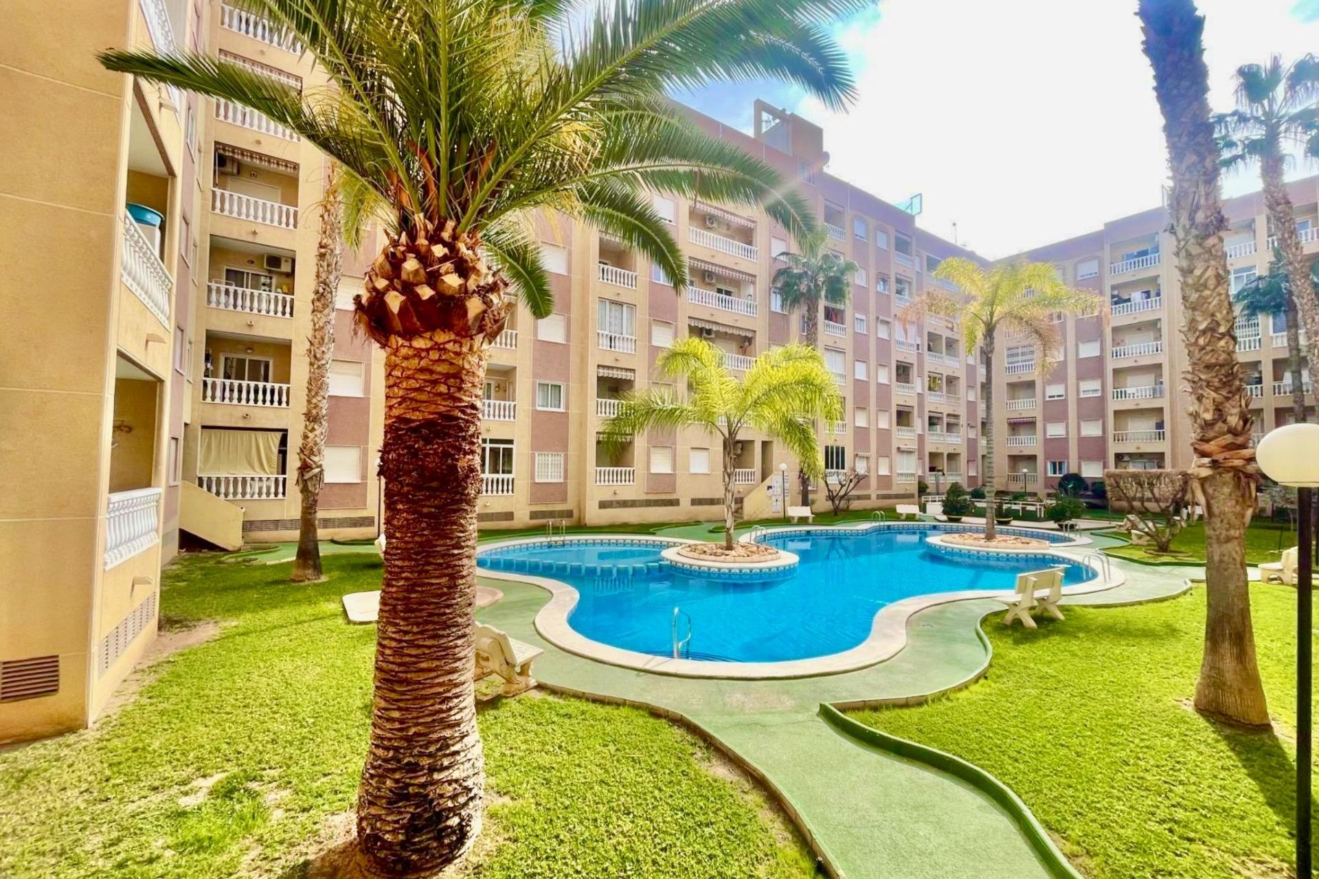 Reventa - Apartment -
Torrevieja - Centro