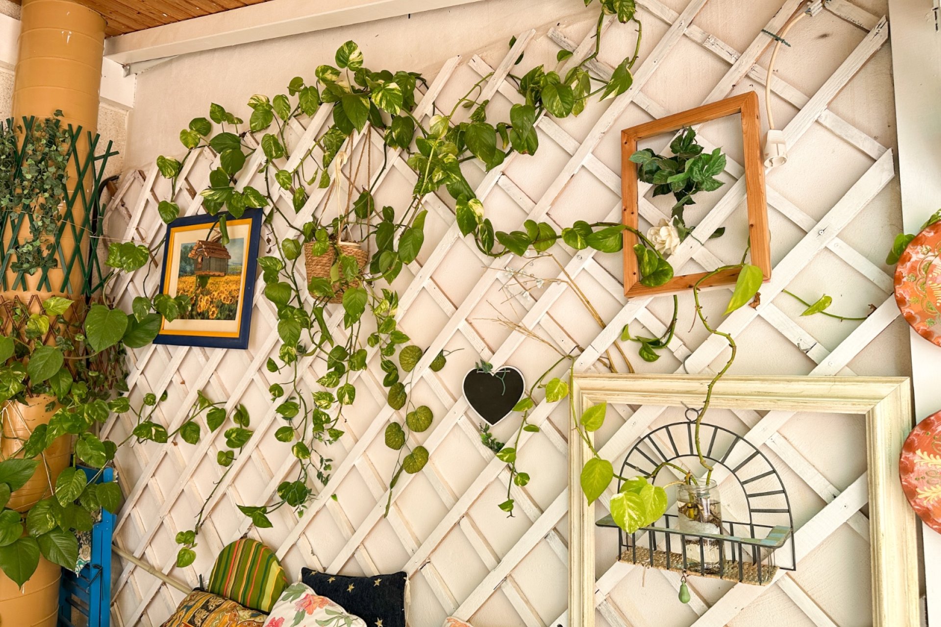 Reventa - Apartment -
Torrevieja - Costa Blanca