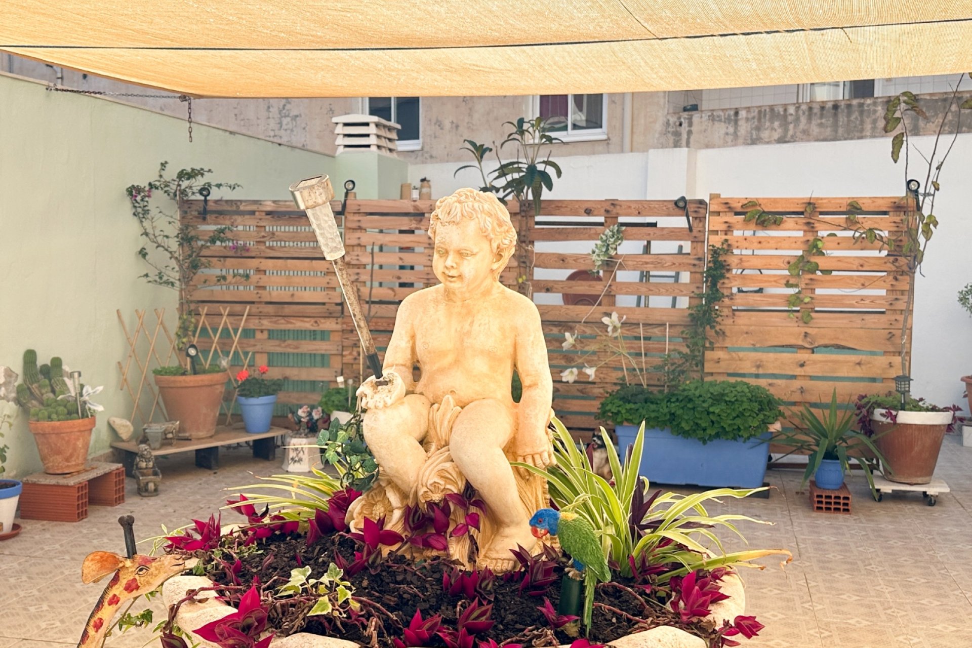 Reventa - Apartment -
Torrevieja - Costa Blanca