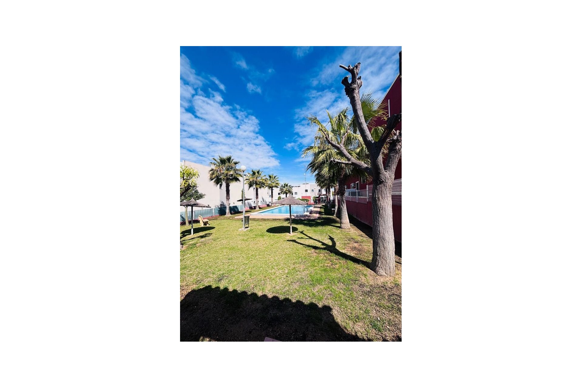 Reventa - Apartment -
Torrevieja - Costa Blanca