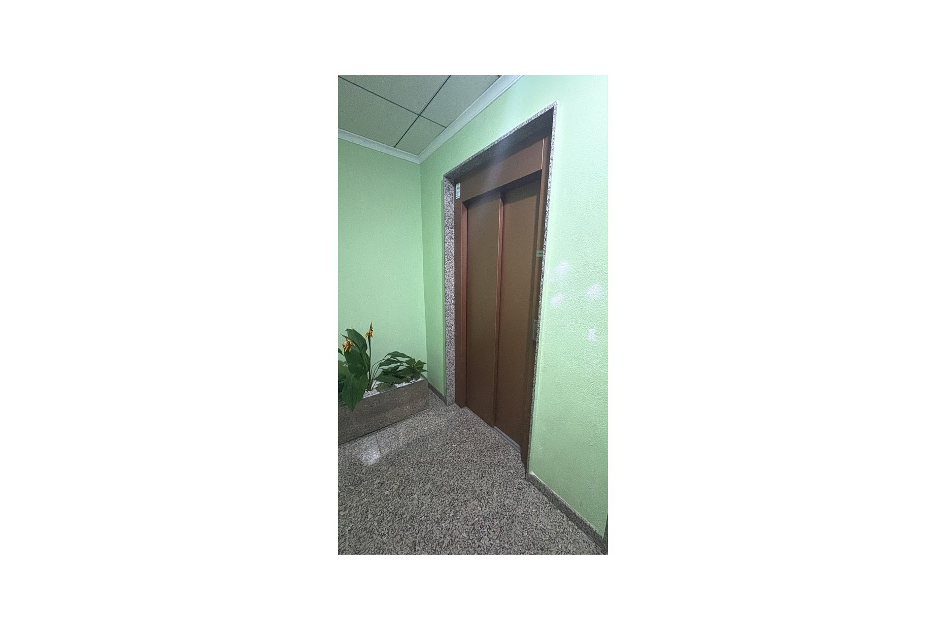 Reventa - Apartment -
Torrevieja - Costa Blanca