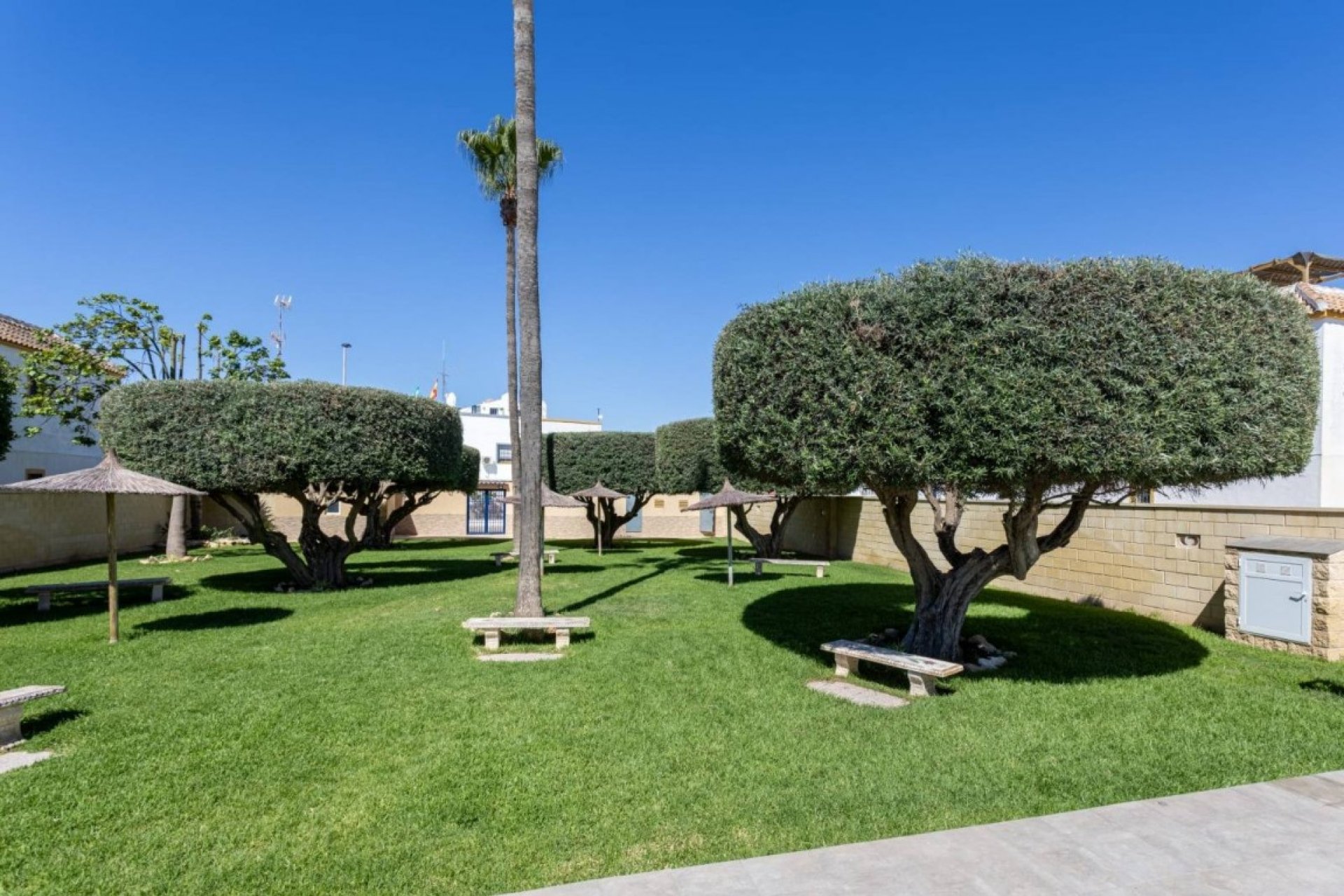 Reventa - Apartment -
Torrevieja - Costa Blanca