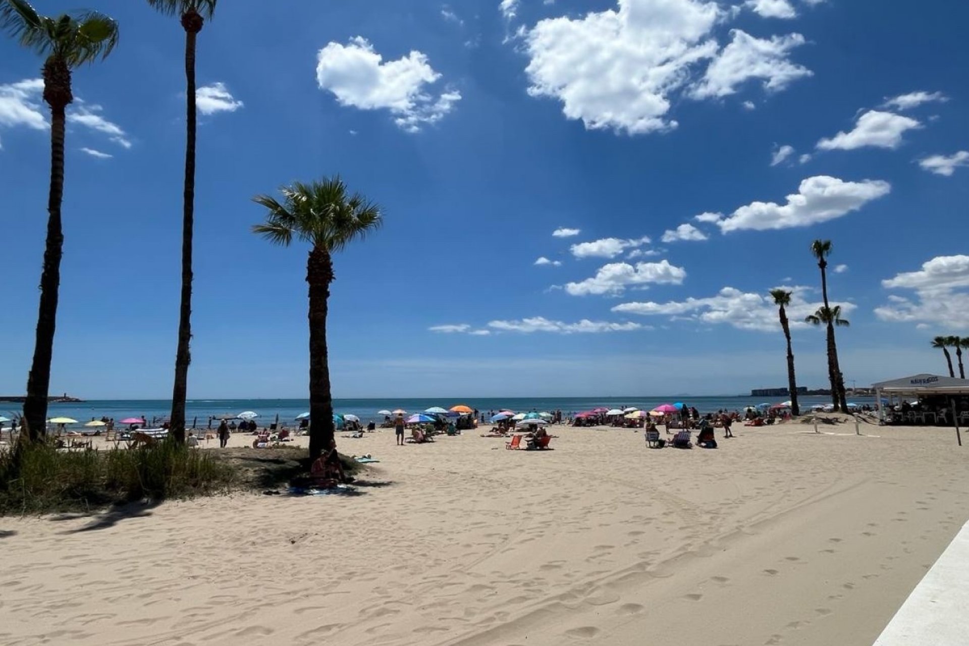 Reventa - Apartment -
Torrevieja - Costa Blanca