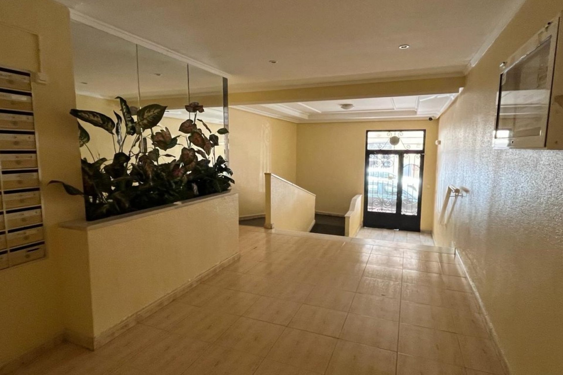 Reventa - Apartment -
Torrevieja - Costa Blanca