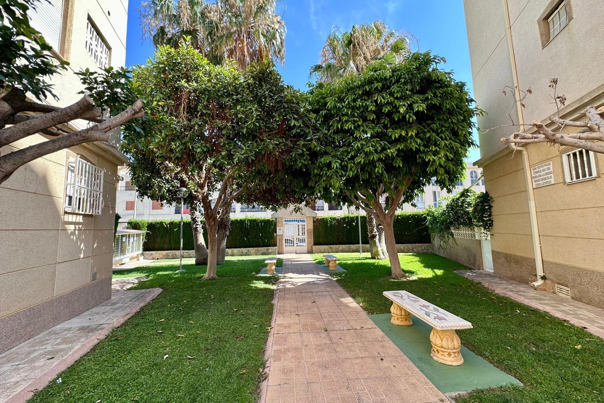 Reventa - Apartment -
Torrevieja - Habaneras
