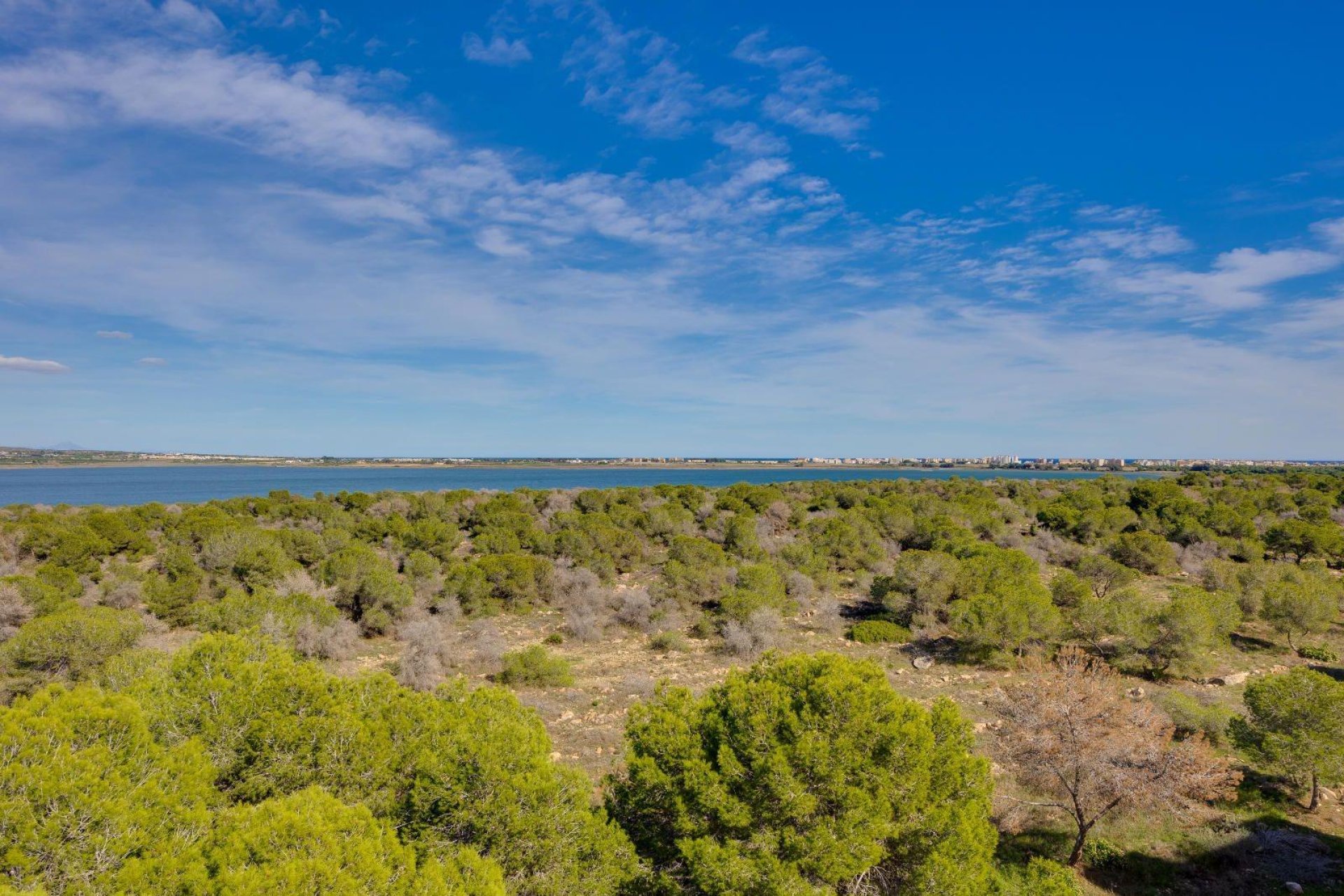 Reventa - Apartment -
Torrevieja - La Siesta - El Salado - Torreta