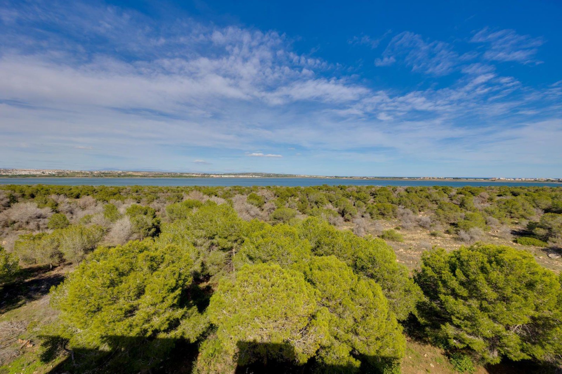 Reventa - Apartment -
Torrevieja - La Siesta - El Salado - Torreta