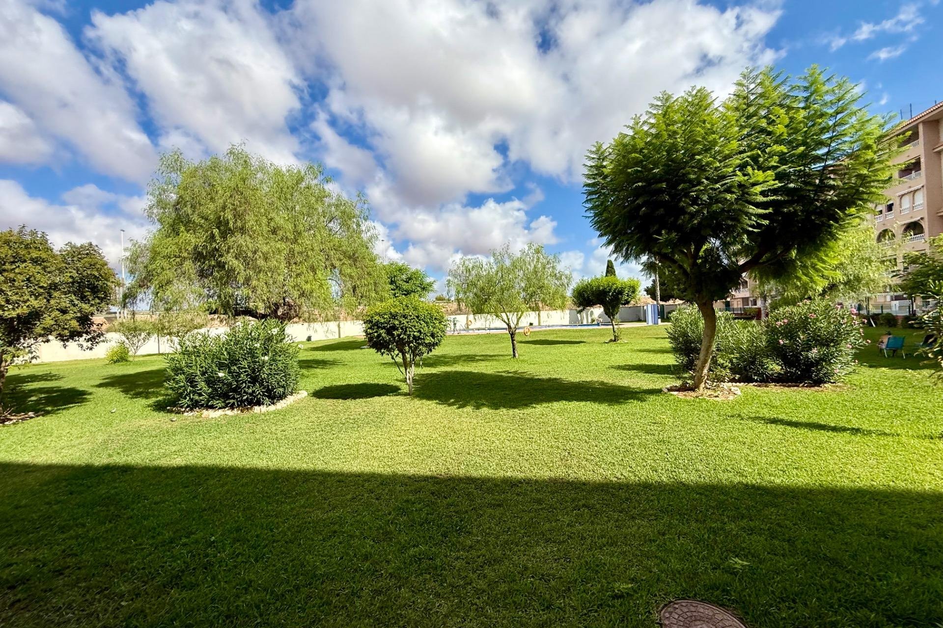 Reventa - Apartment -
Torrevieja - Parque de las Naciones