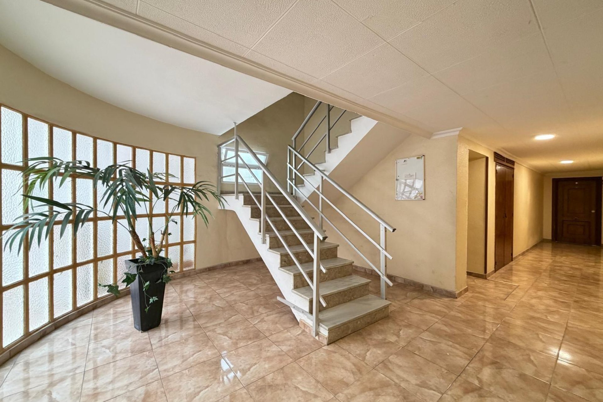 Reventa - Apartment -
Torrevieja - Paseo Maritimo