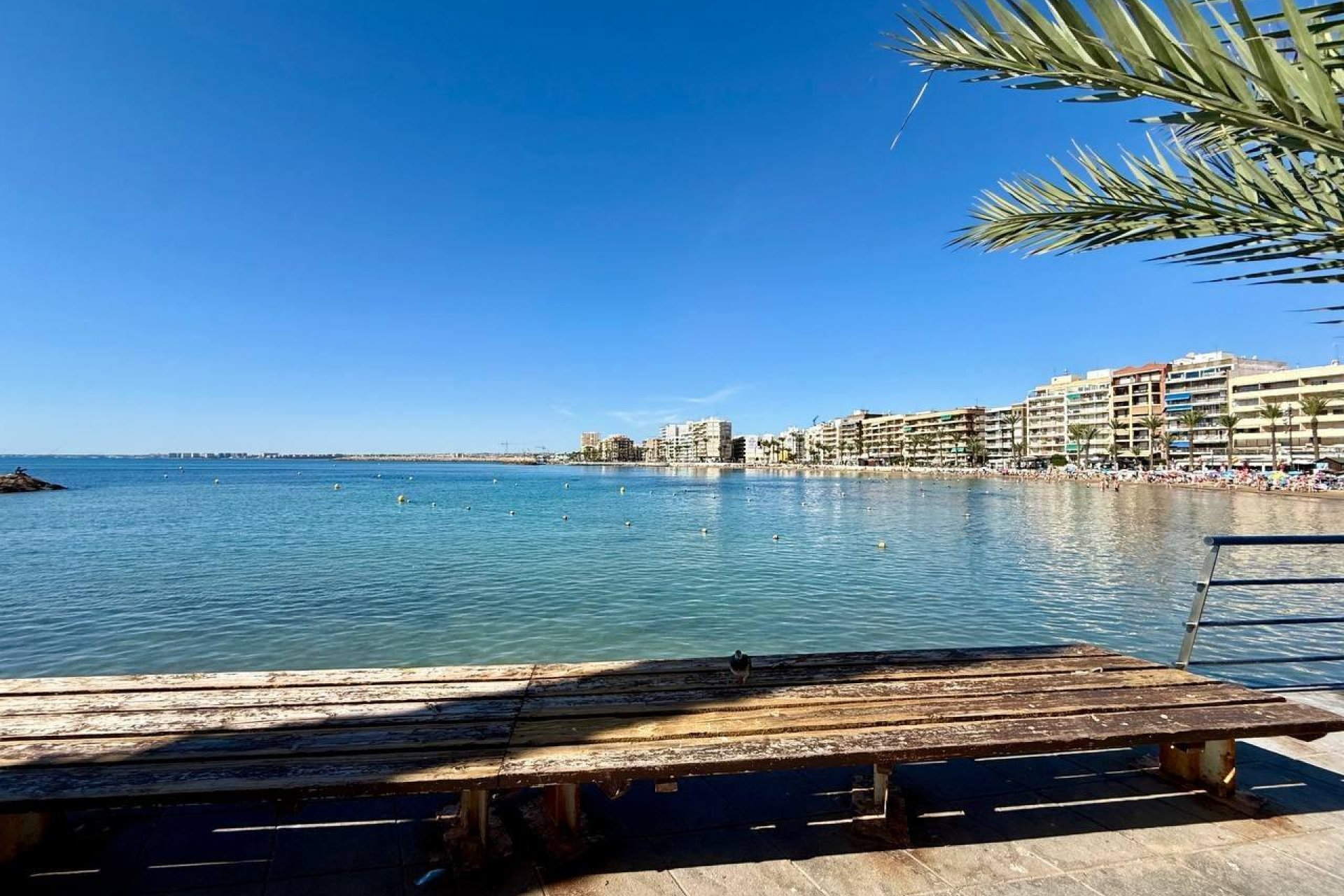 Reventa - Apartment -
Torrevieja - Playa del Cura