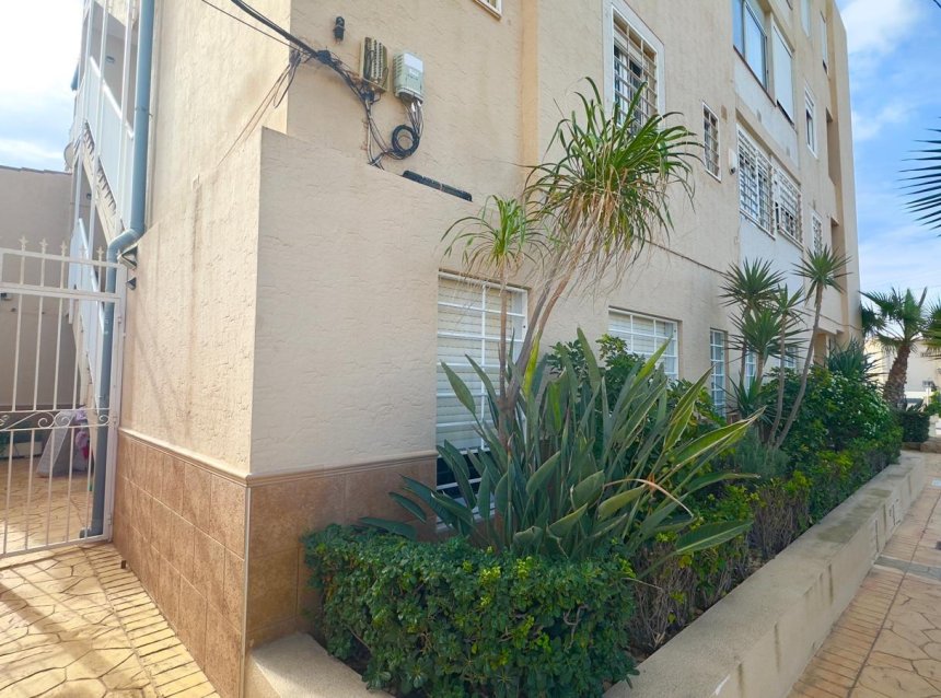 Reventa - Apartment -
Torrevieja - Zona Los Frutales