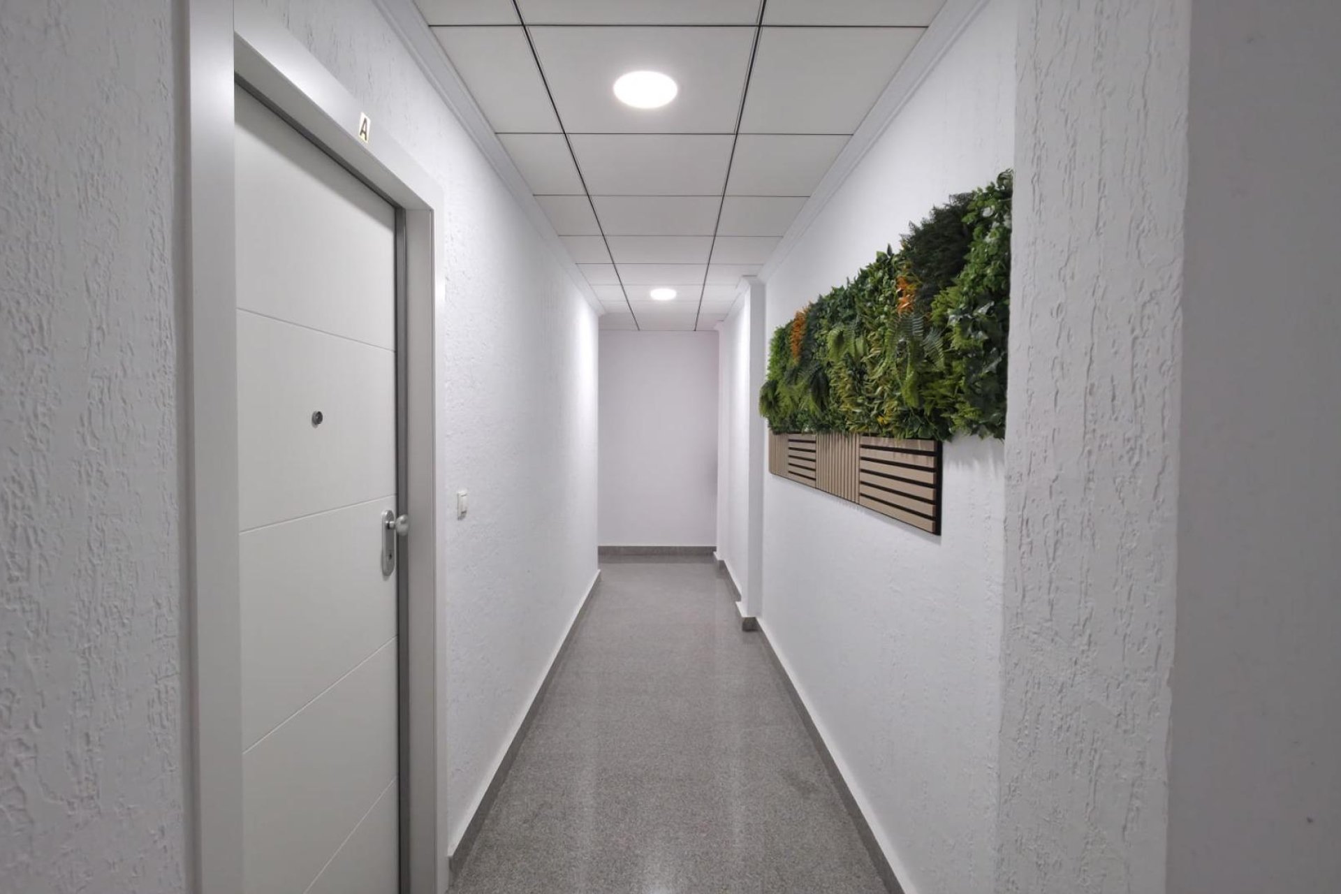 Reventa - Apartment -
Torrevieja
