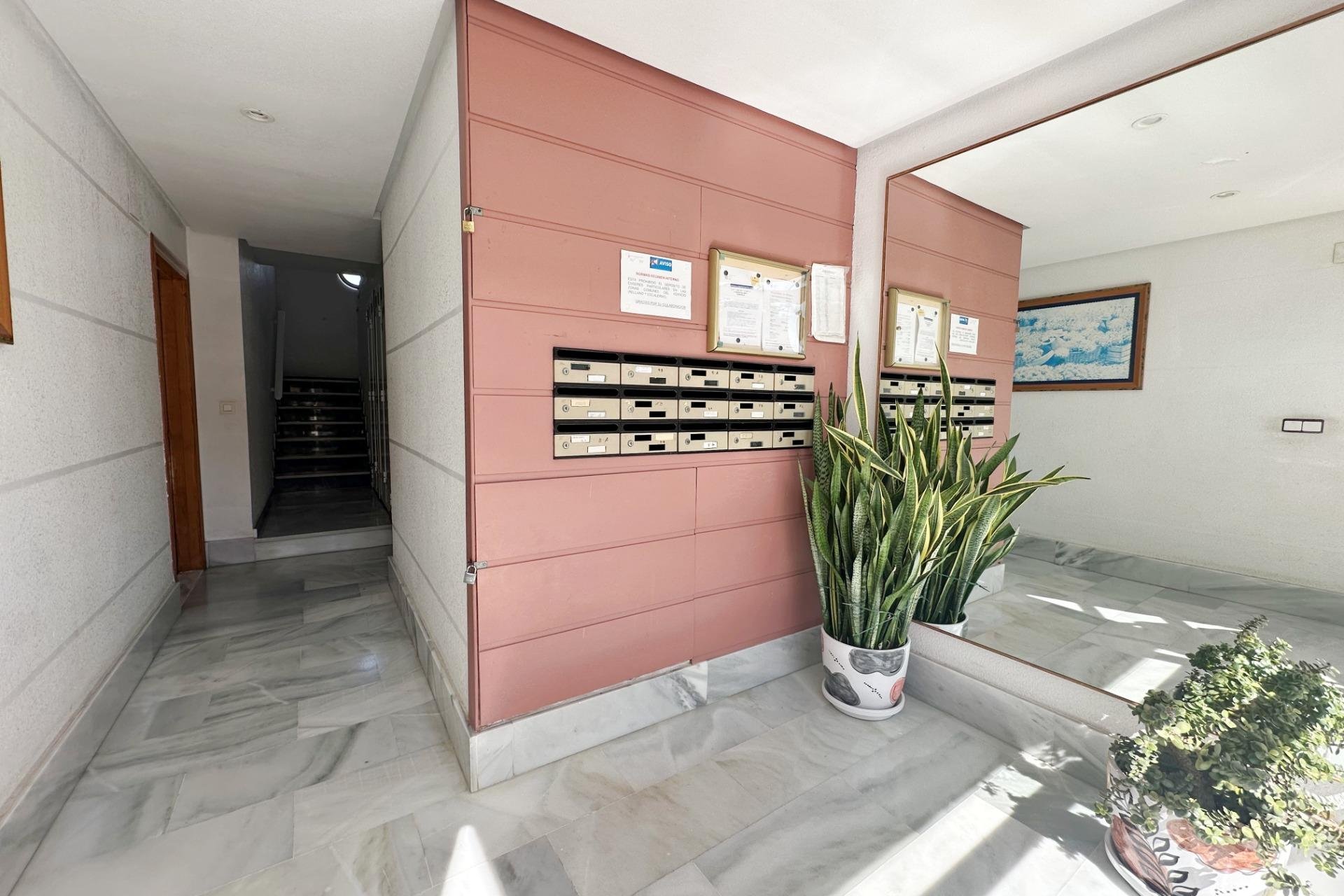 Reventa - Apartment -
Torrevieja