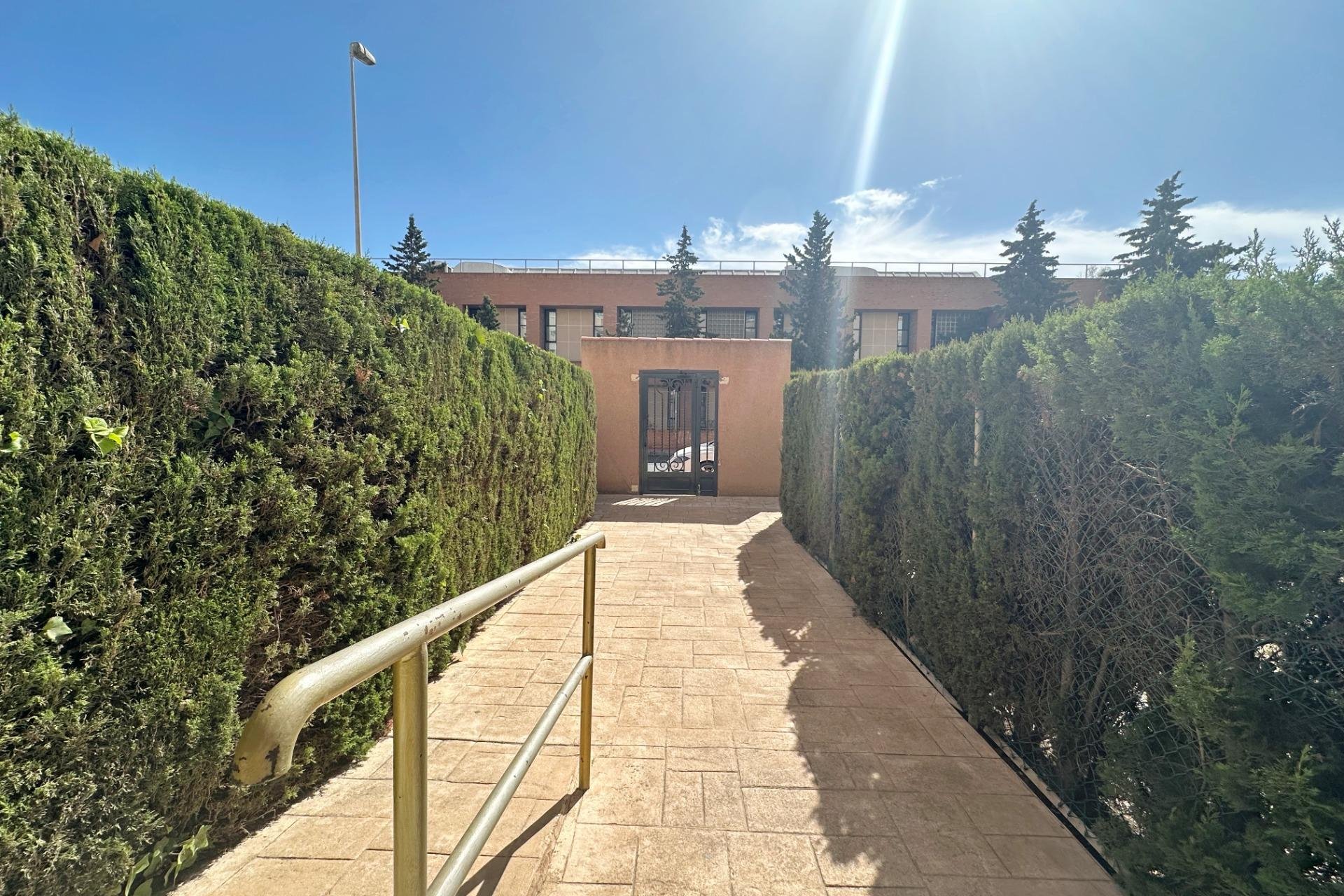 Reventa - Apartment -
Torrevieja