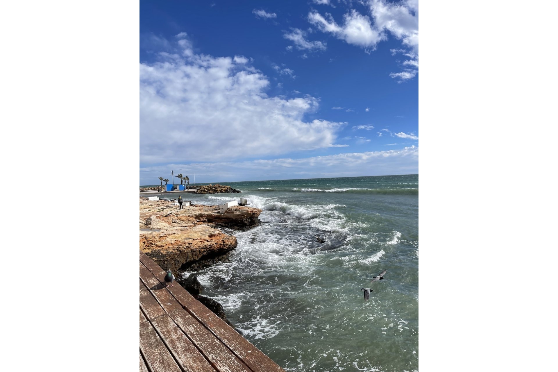 Reventa - Ático -
Torrevieja - Playa de cura