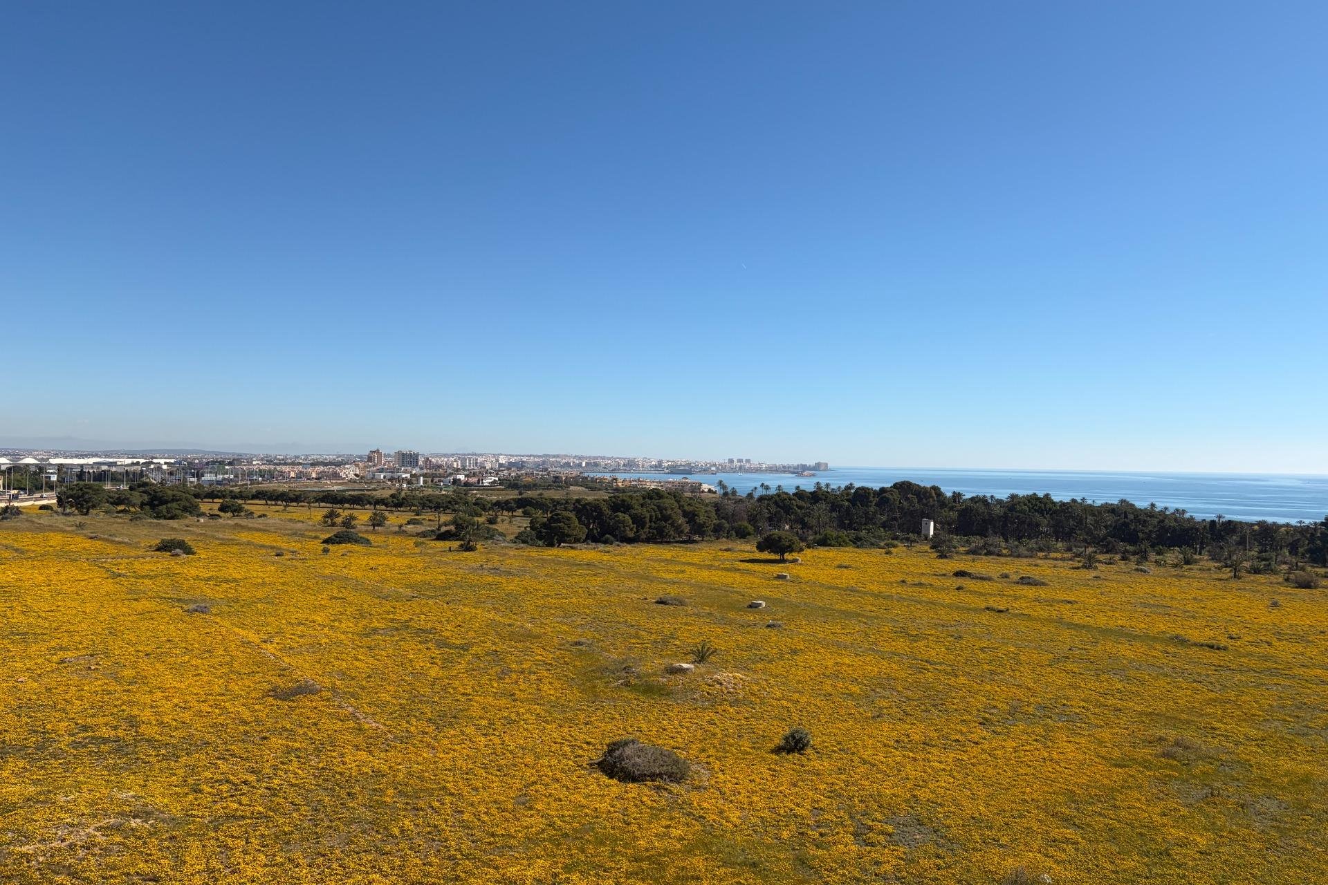 Reventa - Ático -
Torrevieja - Punta Prima