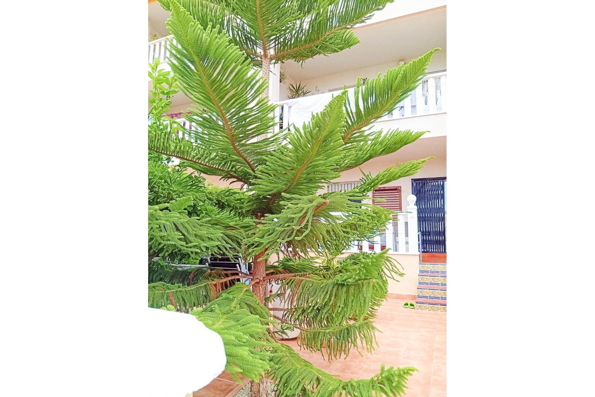 Reventa - Bungalow -
Orihuela Costa - Lomas De Cabo Roig-los Dolses