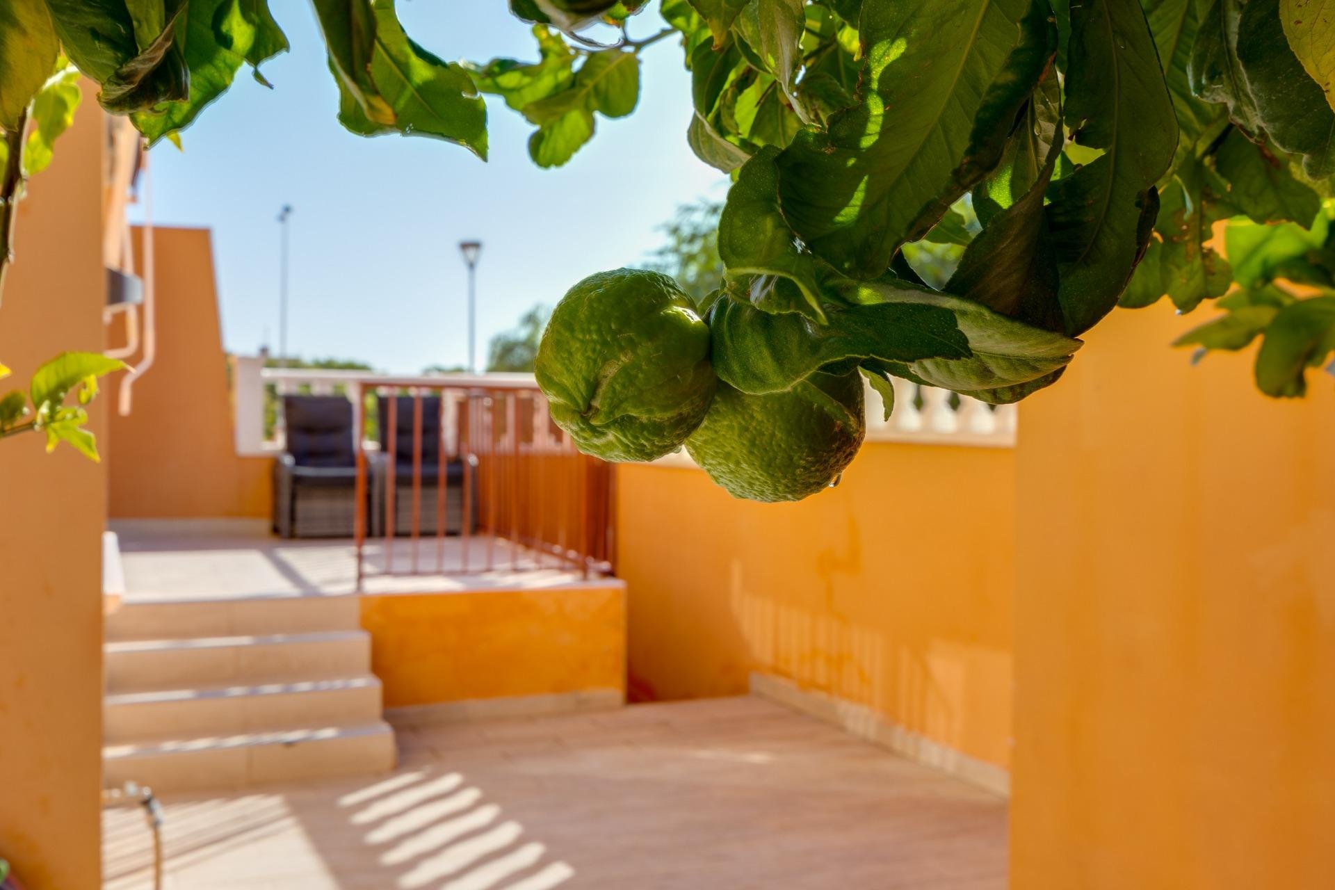 Reventa - Bungalow -
Torrevieja - Aguas Nuevas