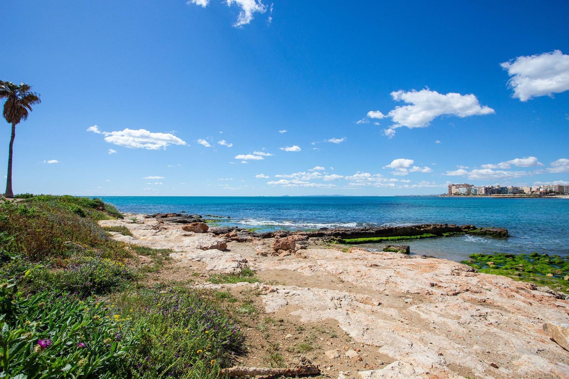 Reventa - Bungalow -
Torrevieja - Centro