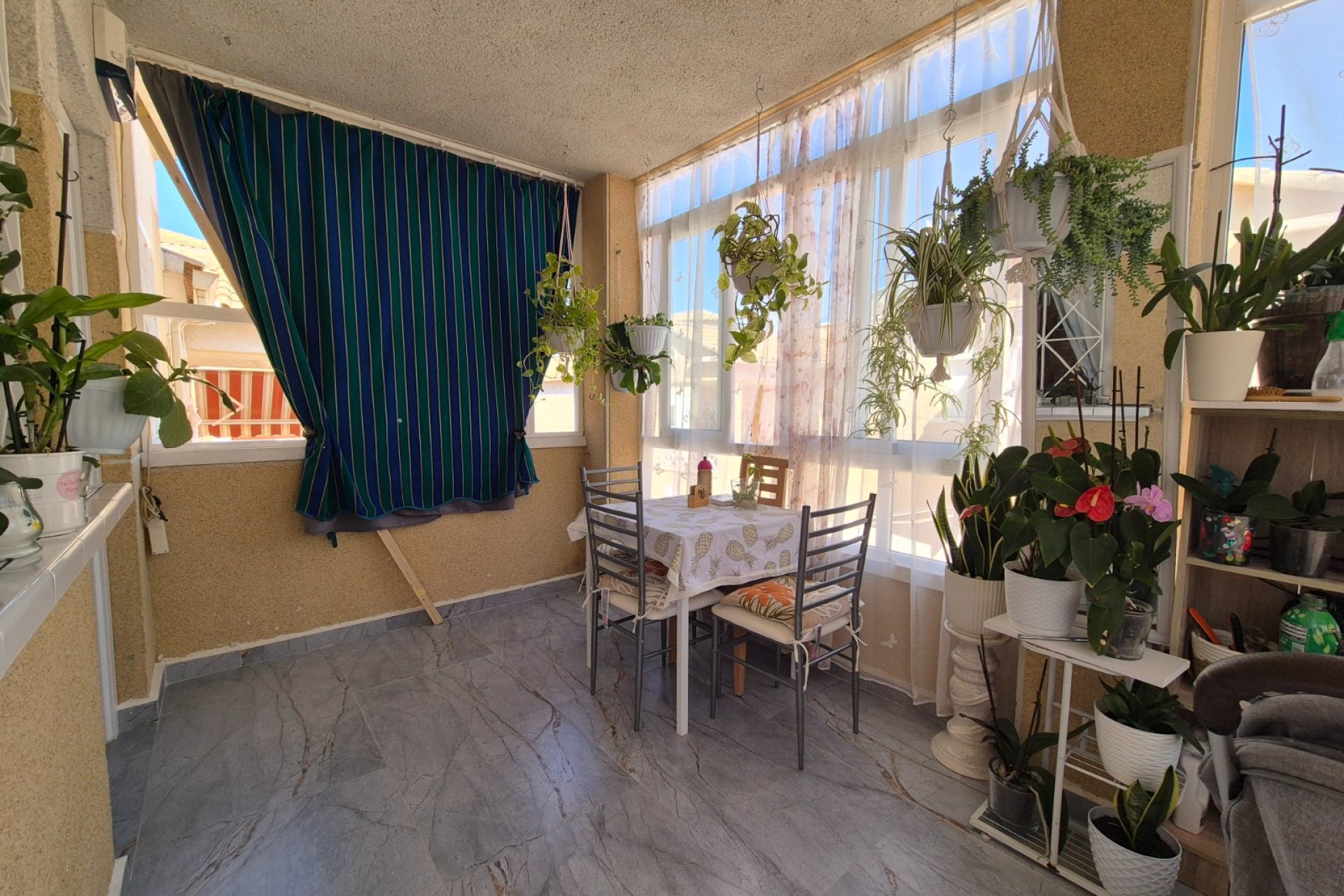 Reventa - Bungalow -
Torrevieja - Costa Blanca