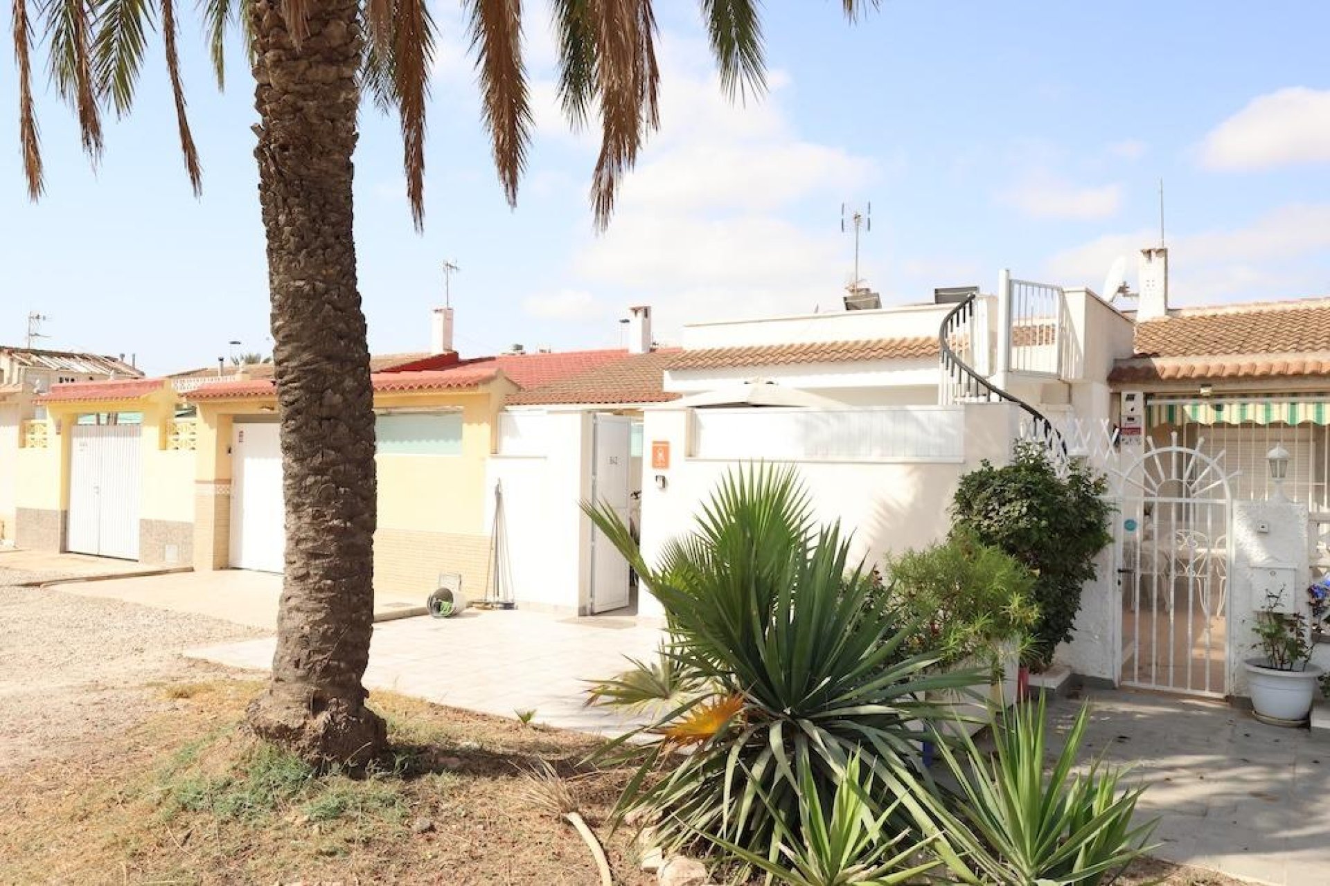 Reventa - Bungalow -
Torrevieja - Costa Blanca