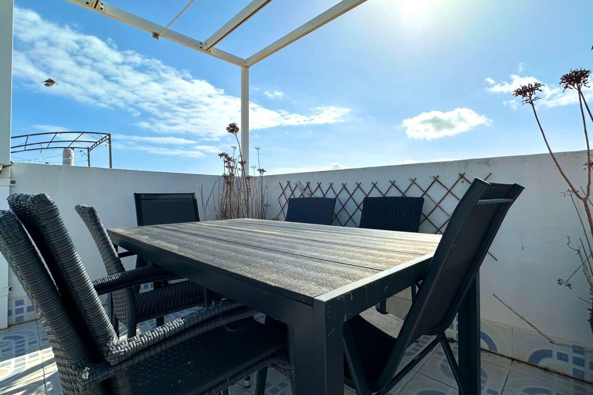 Reventa - Bungalow -
Torrevieja - El Limonar