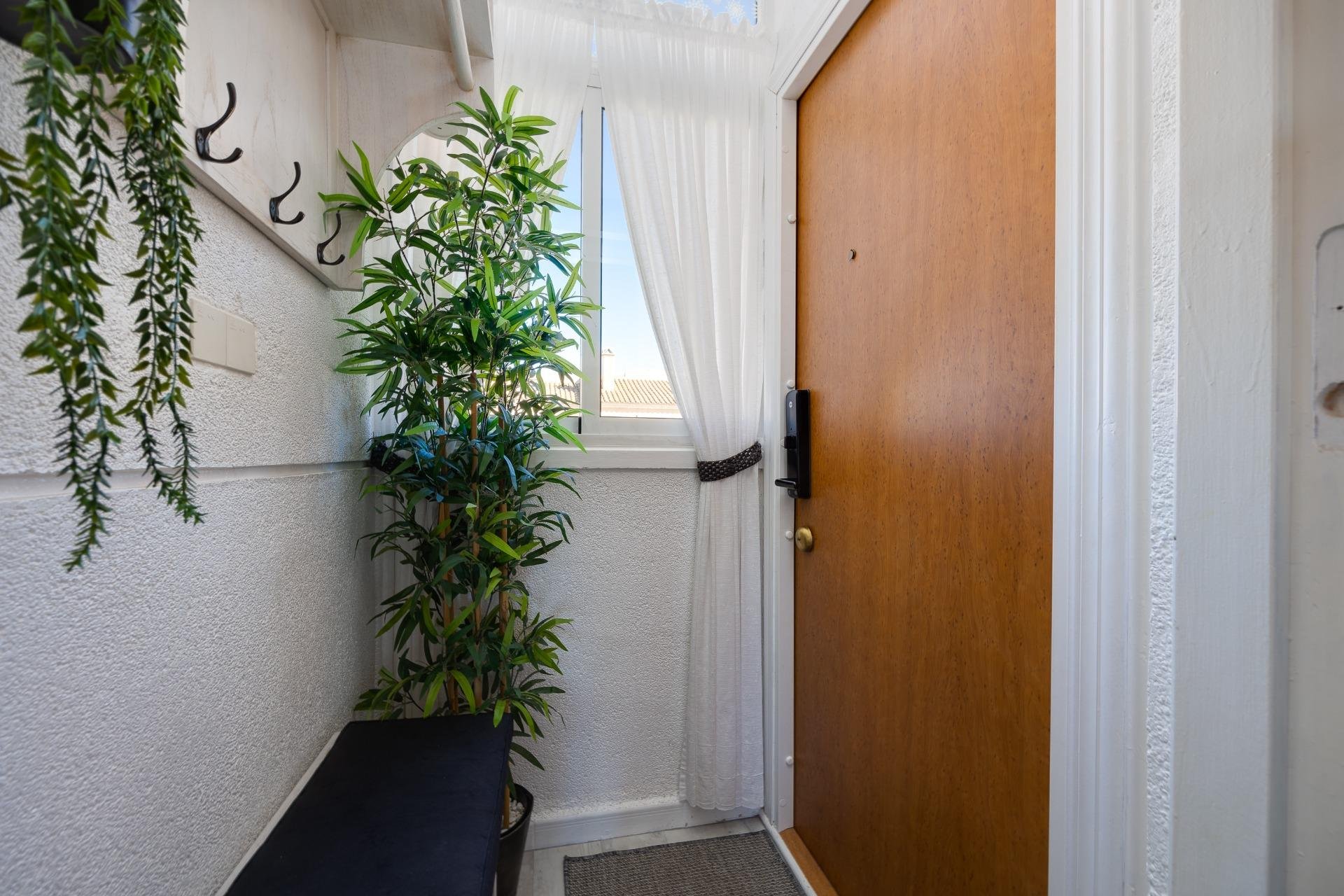 Reventa - Bungalow -
Torrevieja - El Molino