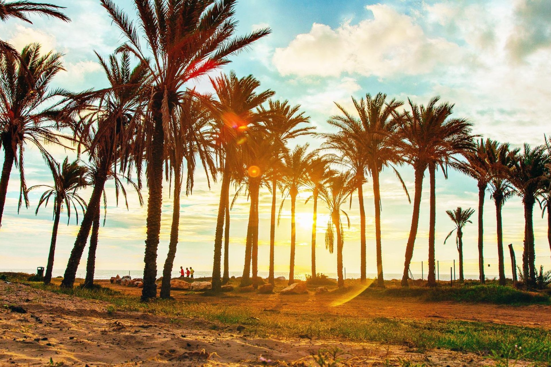 Reventa - Bungalow -
Torrevieja - Los Balcones