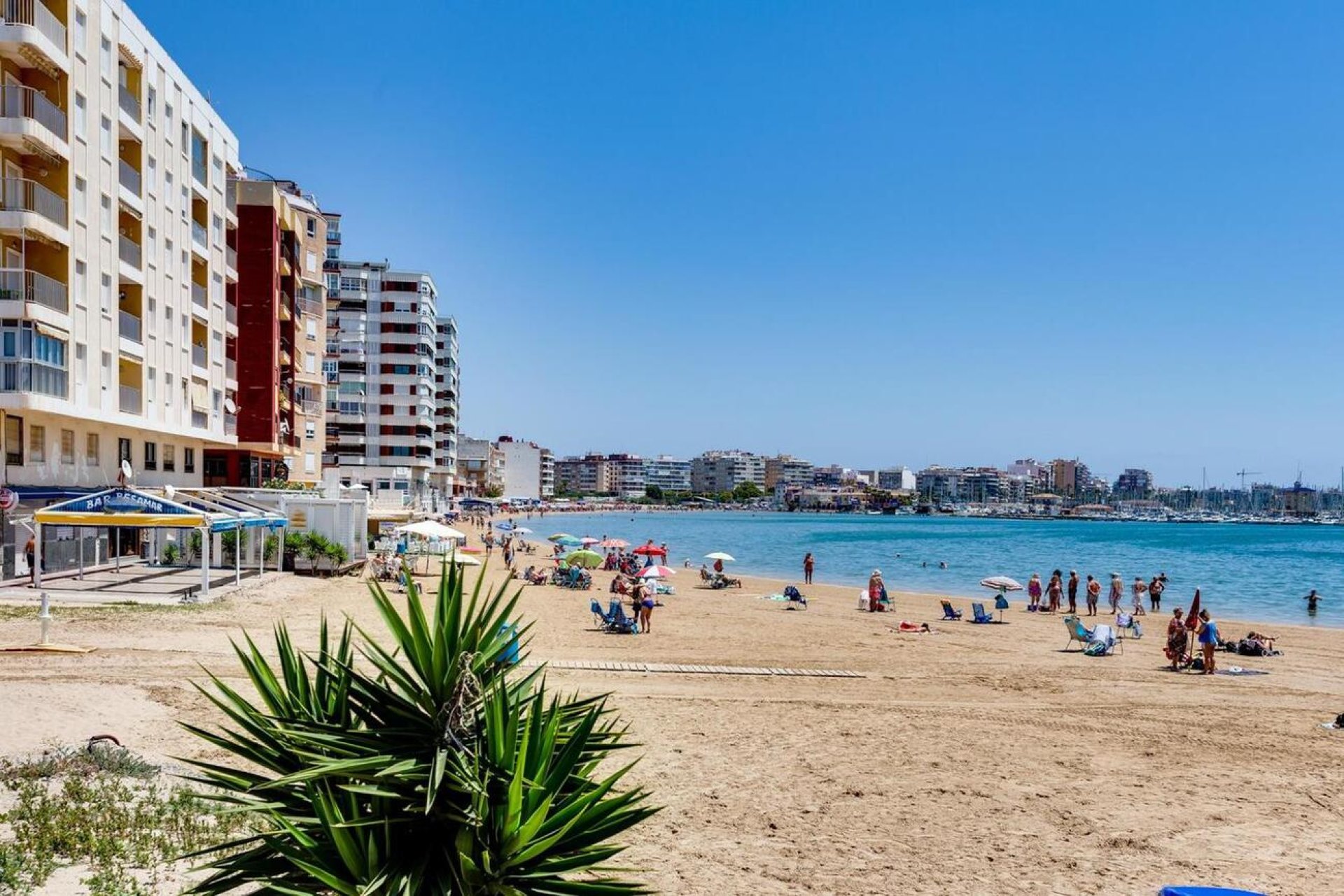 Reventa - Bungalow -
Torrevieja - Parque de las Naciones