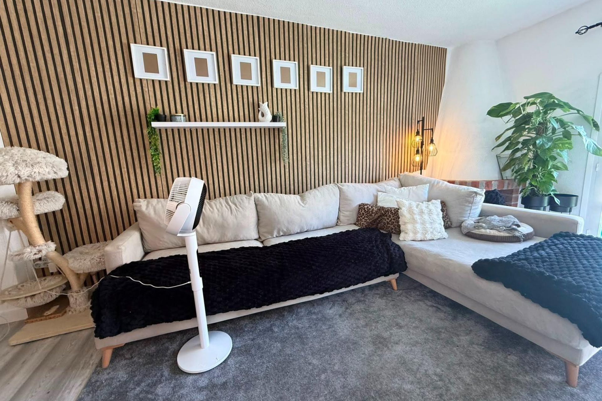 Reventa - Bungalow -
Torrevieja - Playa del Cura