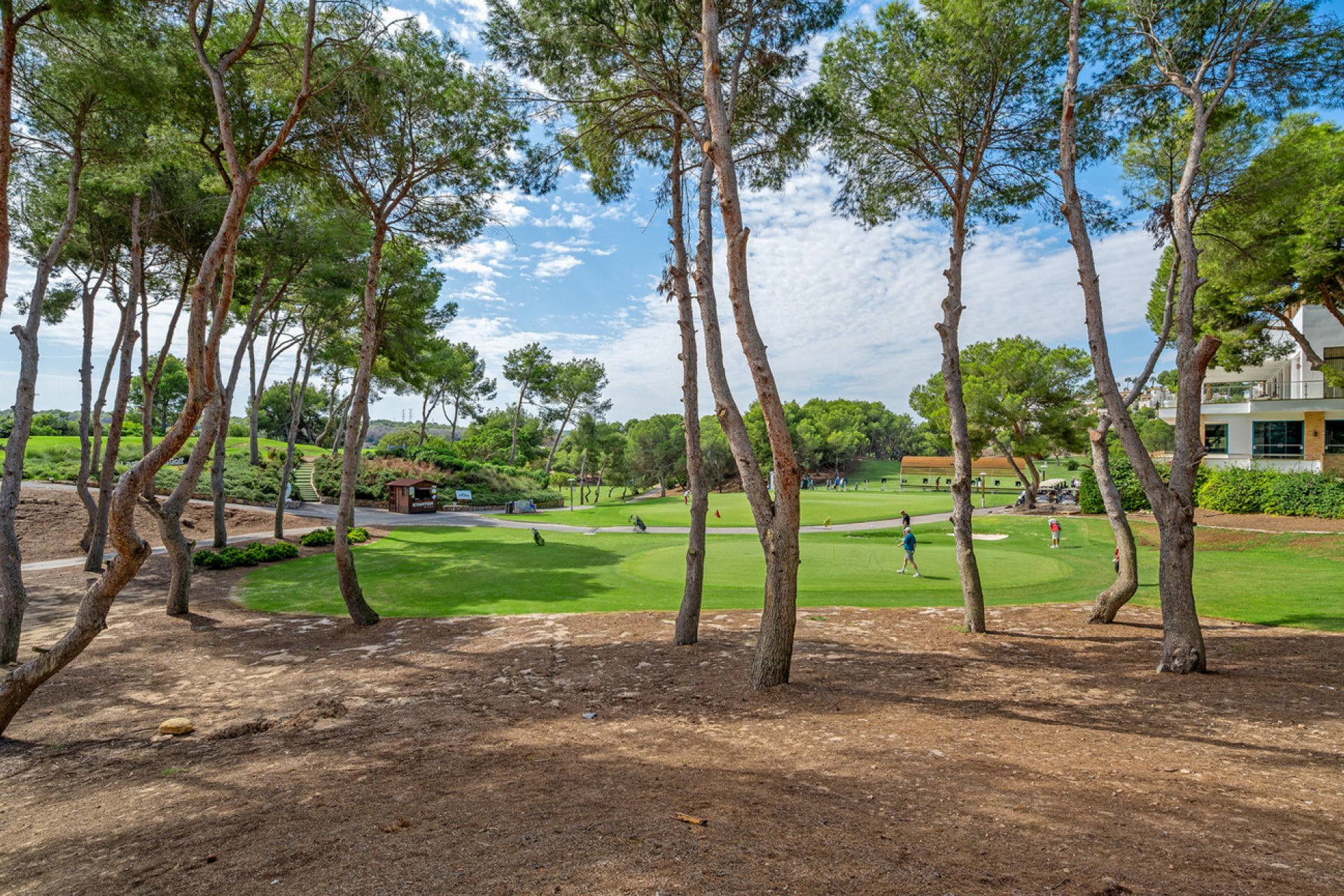 Reventa - Duplex Penthouse -
Dehesa de Campoamor - Costa Blanca