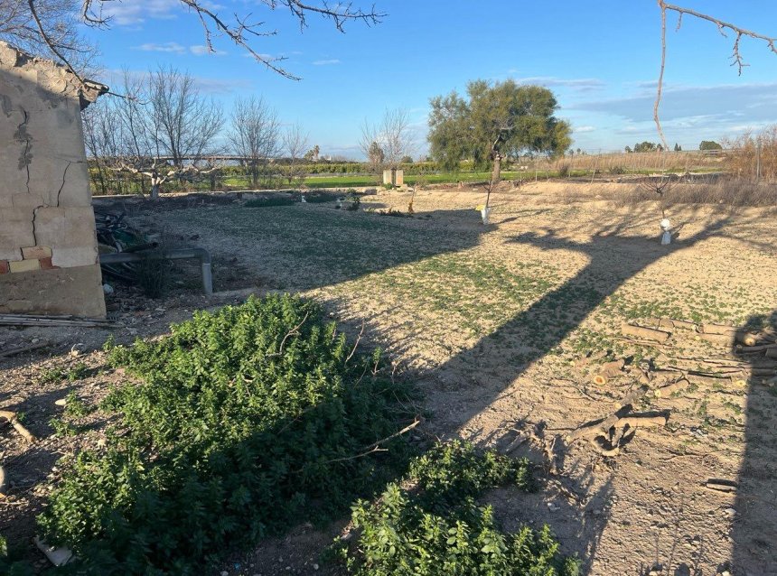 Reventa - Finca -
Daya Nueva - Comunidad Valenciana