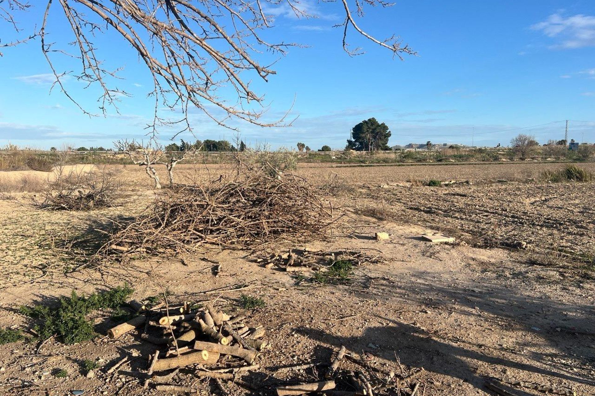 Reventa - Finca -
Daya Nueva - Comunidad Valenciana